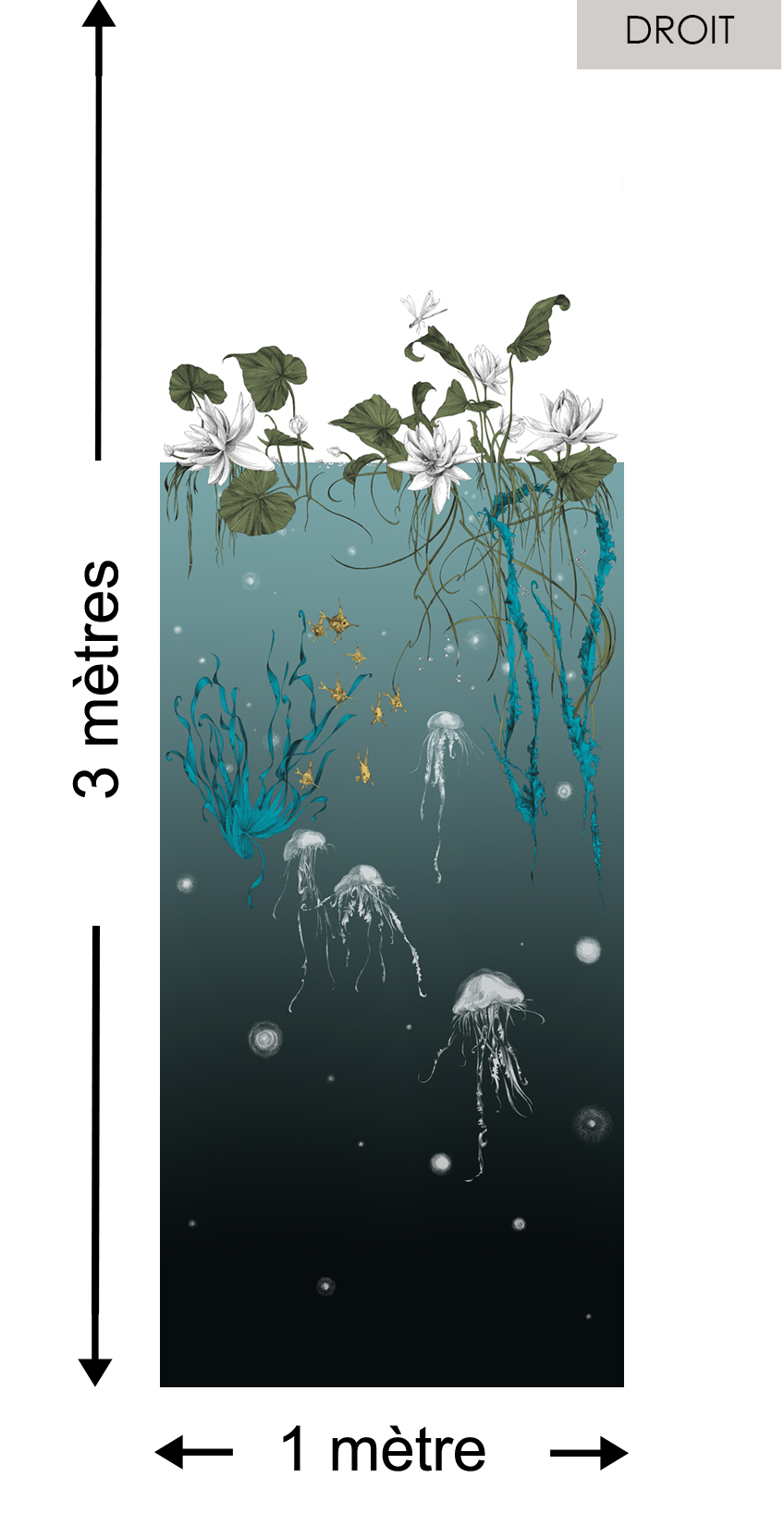 Méduses DROIT Noir - Collection Catherine Gran de Edmond Petit