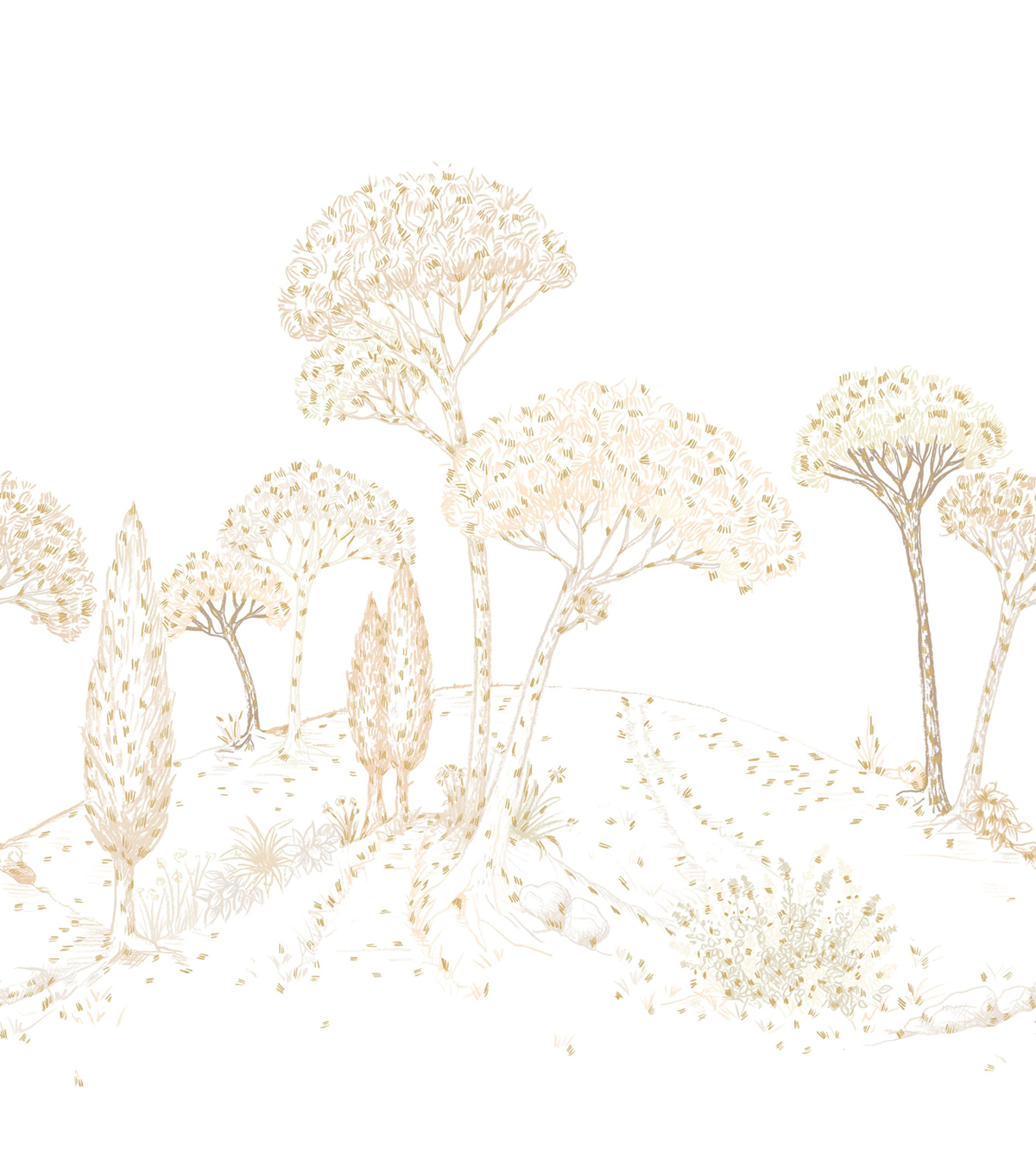 Papier peint panoramique Forêt Douce Stockholm beige 250X280 - Color Box 3 de Casélio | Réf. CB3105880101