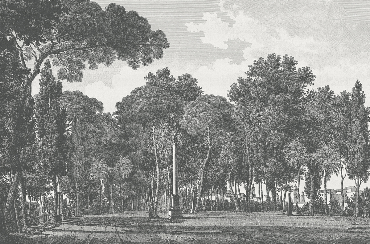 Papier peint panoramique Forêt Alameda gris - Panorama 2 de Lutèce | Réf. LTC-PAN1621C