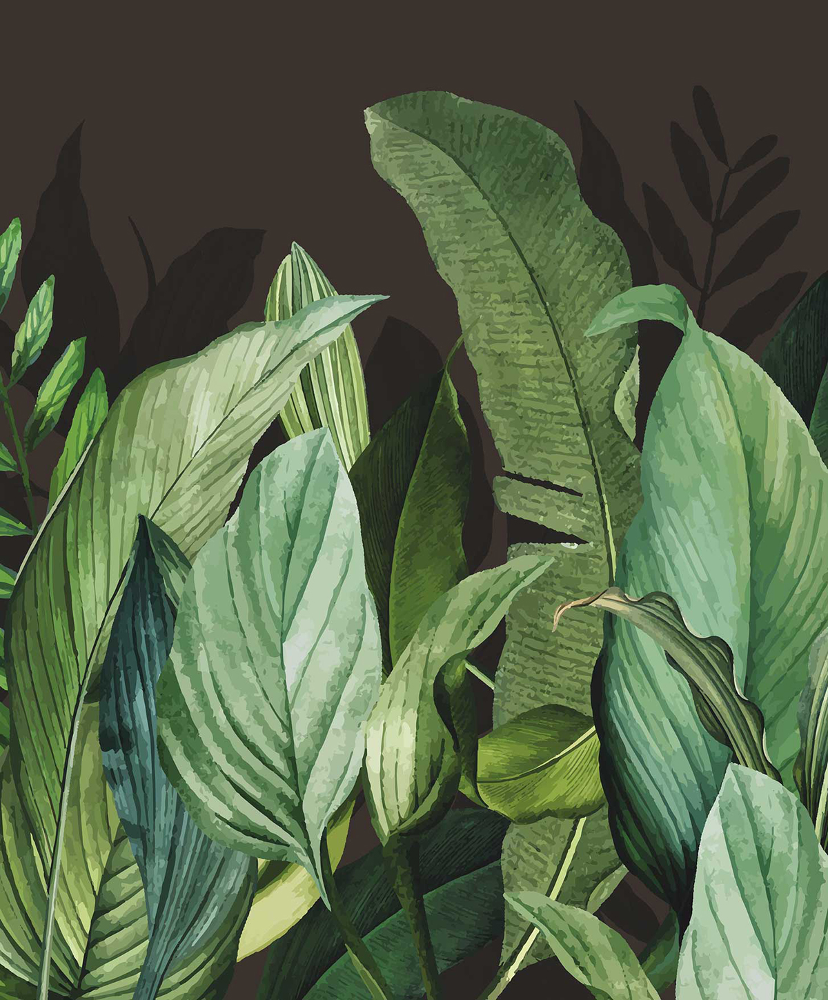 Papier peint Panoramique Tropical Forest noir et vert - Moorea de Montecolino | Réf. MC-18002