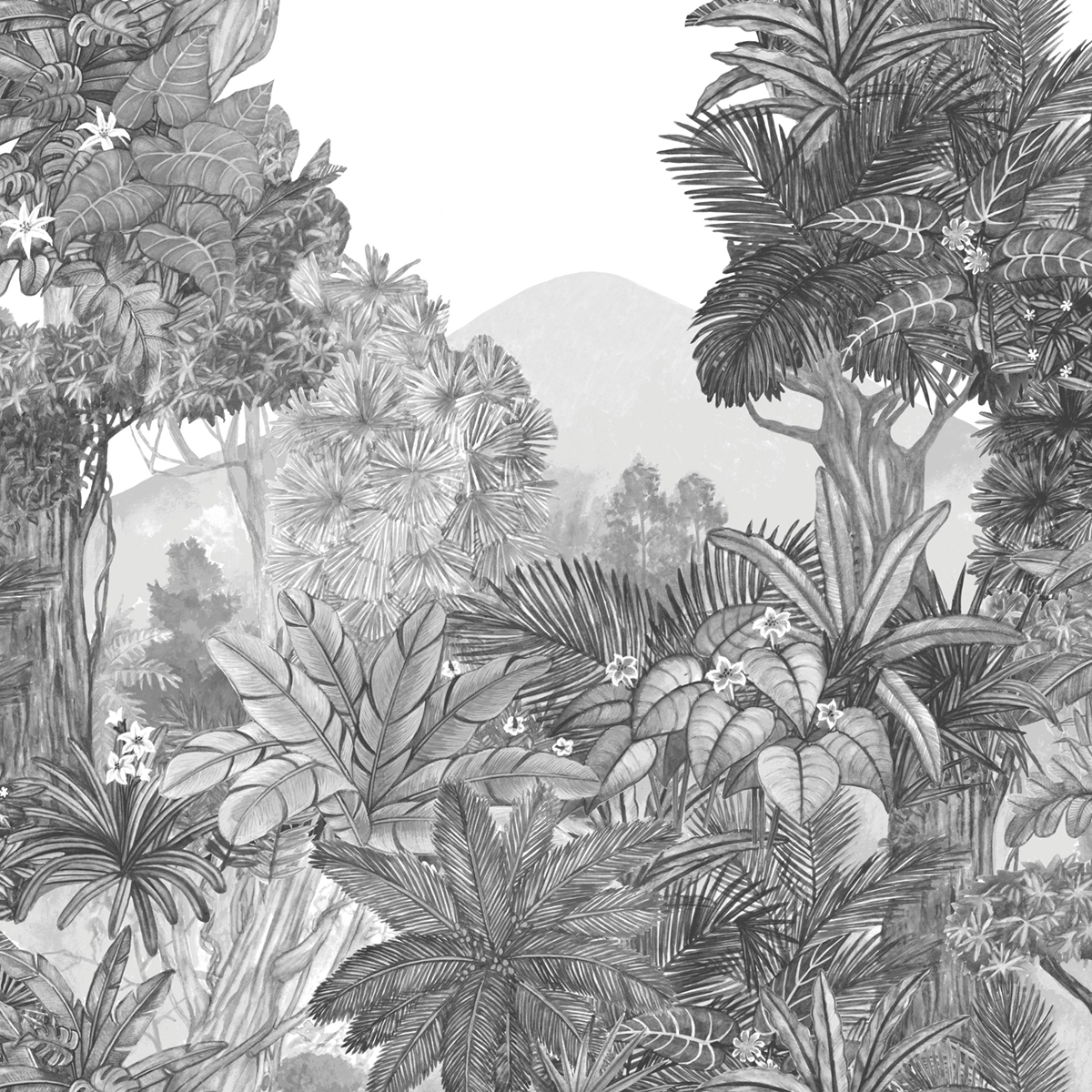 Papier peint panoramique Palmiers Secret Landscape noir blanc L 250X250 - Pimp My Wall de Casélio | Réf. PMW104859206