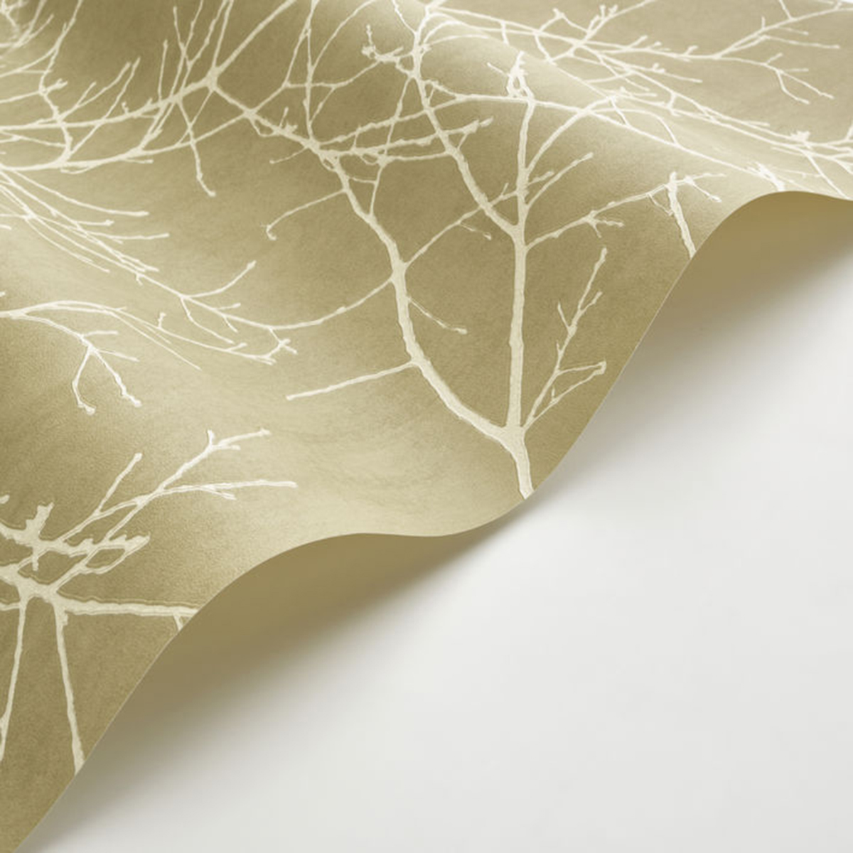 Papier peint Branche Arbre Vancouver vert olive - Riverside 4 de Casadéco AMBV | Réf. RIVI89537905