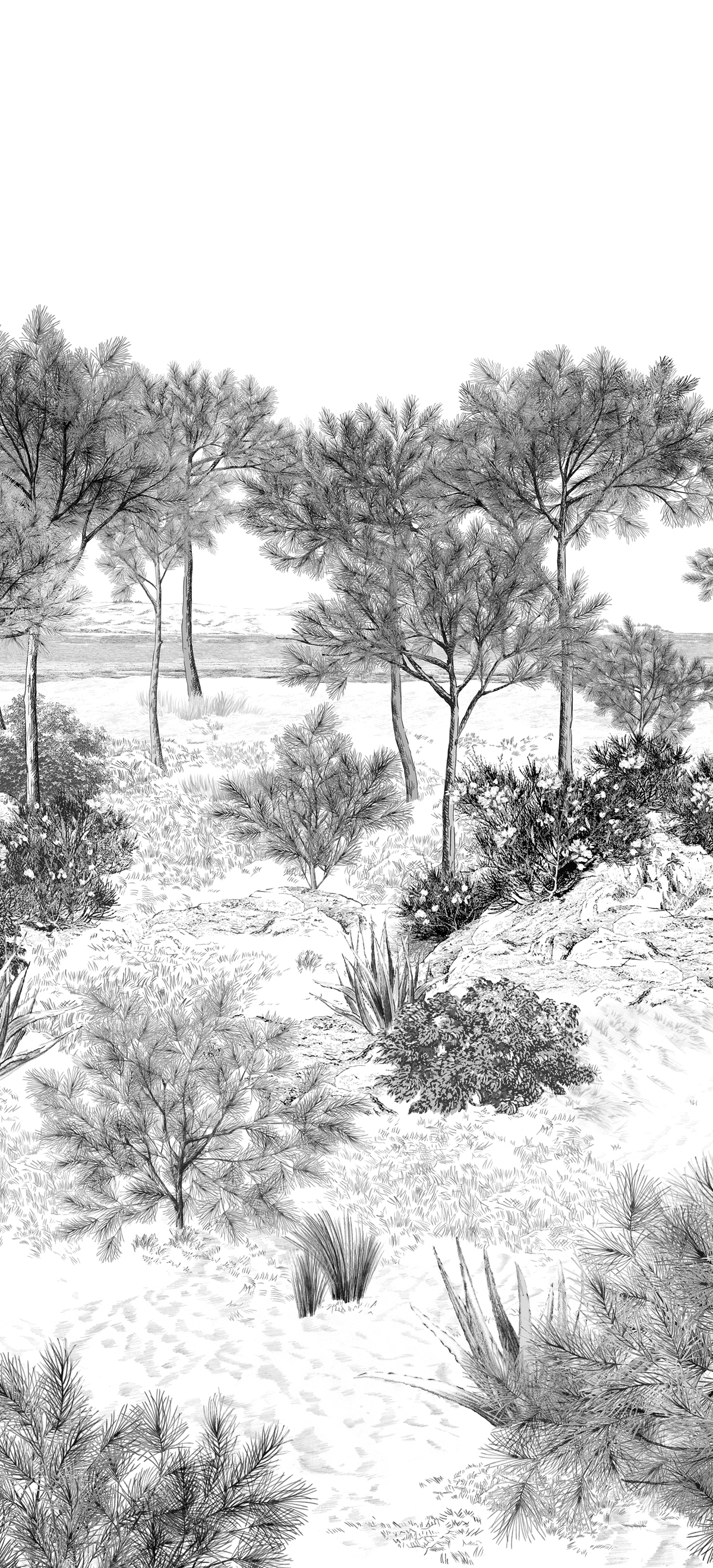 Papier peint panoramique Dune - 1/2/3 - Isidore Leroy