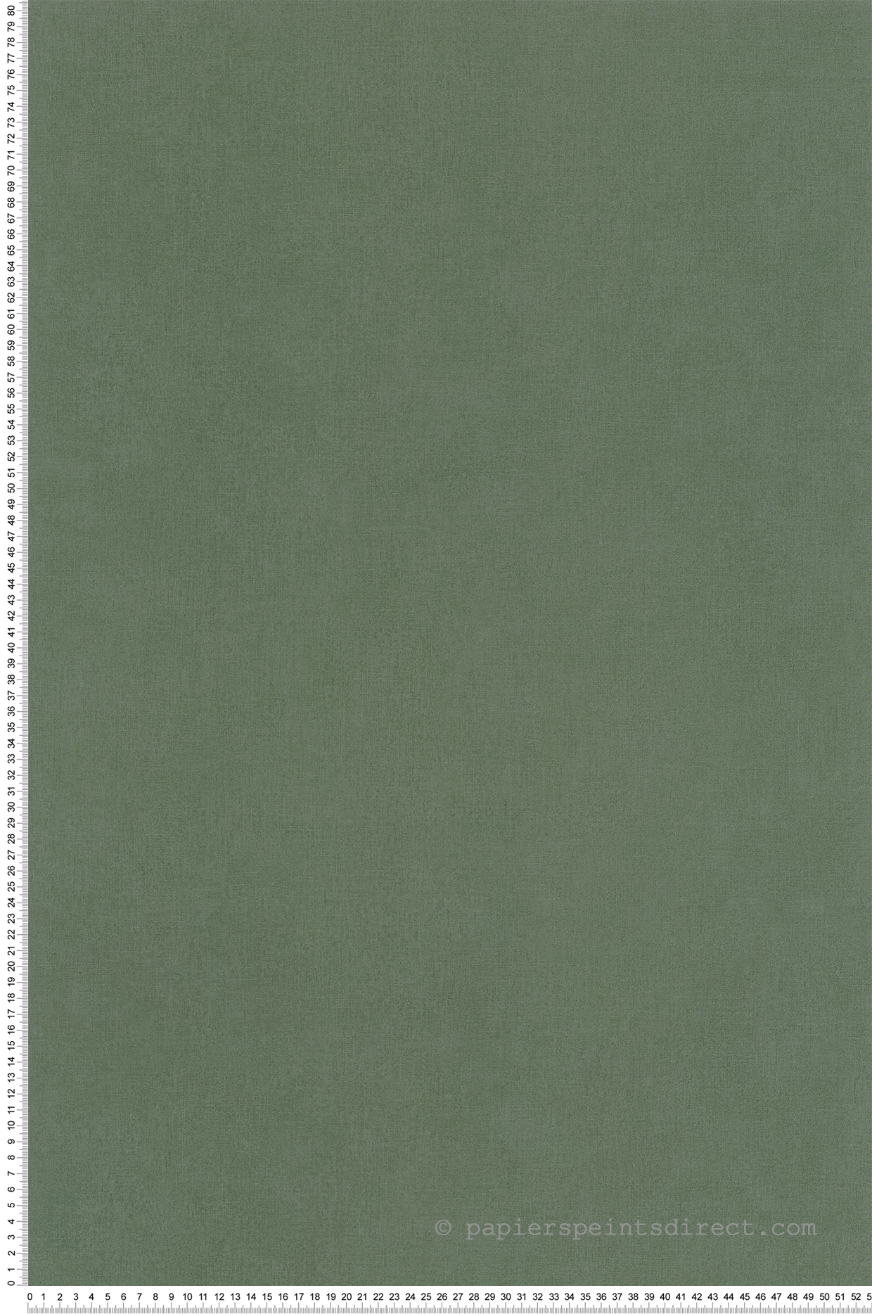 Papier peint Uni kaki - Outlines de Casélio | Réf. OTLS64524044