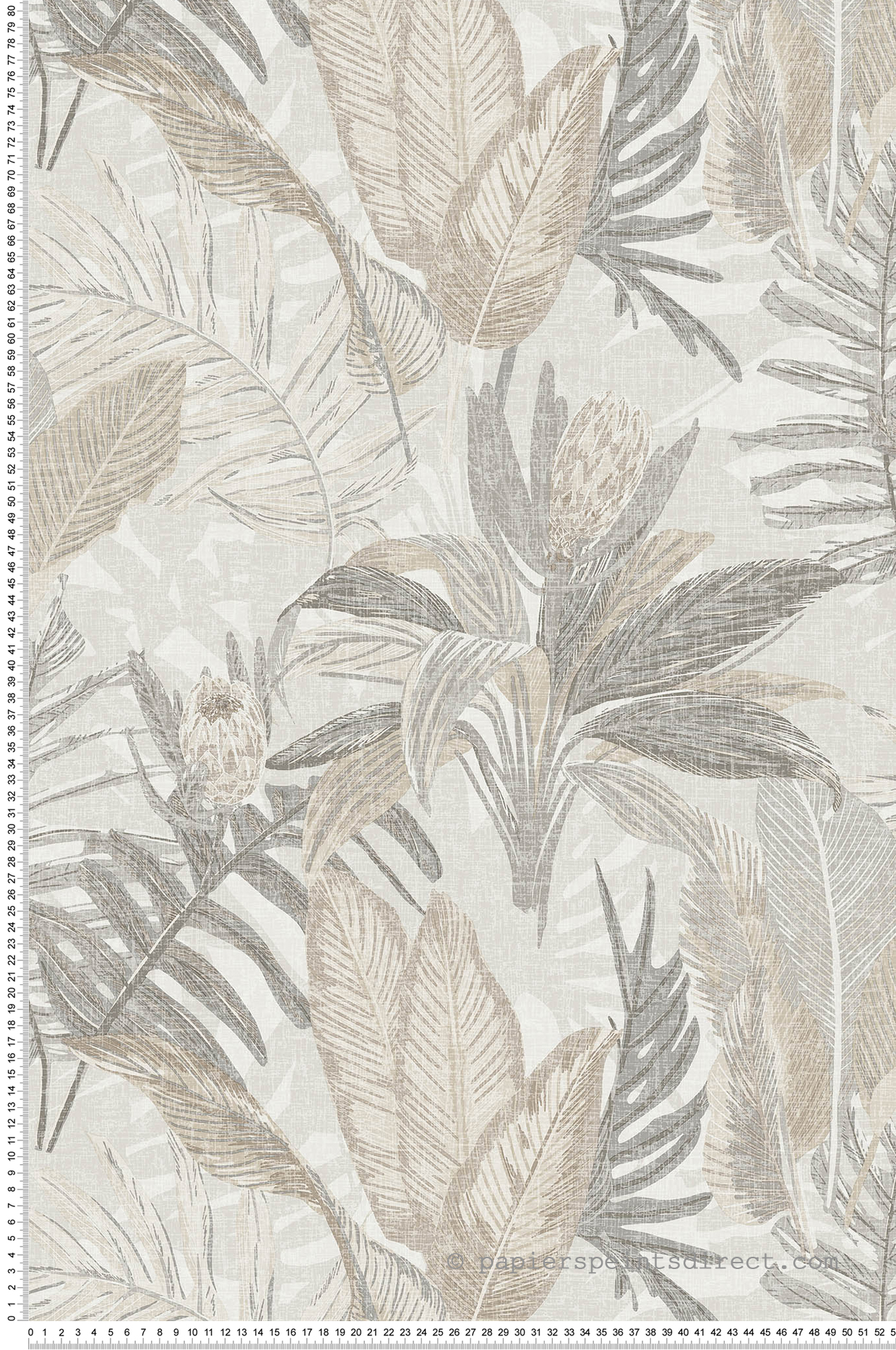Papier peint Feuille Protéa beige gris - Fidji de Lutèce | Réf. LTC-8505-1
