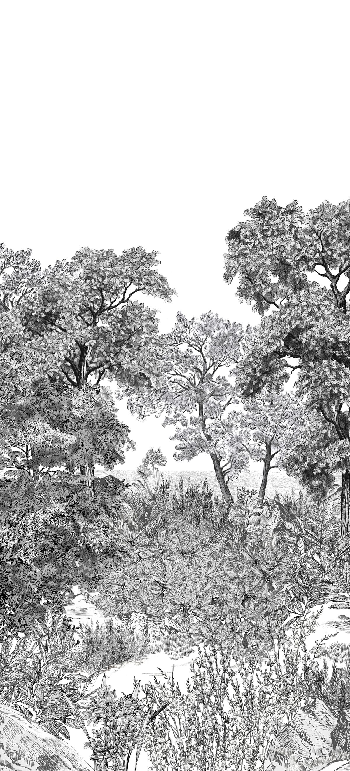 Papier peint panoramique Forêt de Bretagne Grisaille A - 1/2/3 - Isidore Leroy