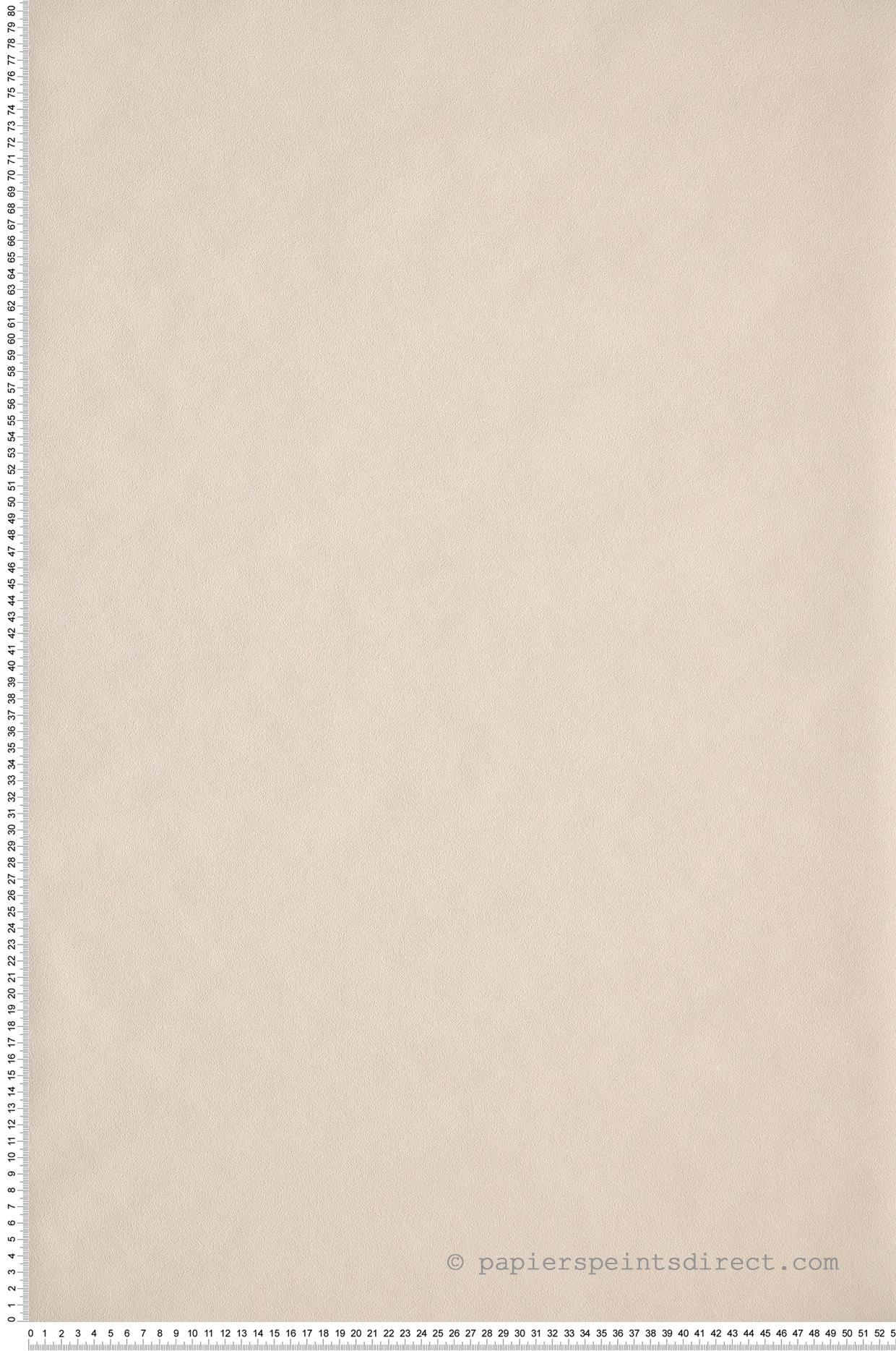 Papier peint Uni beige - Nos Gravures de Casélio | Réf. NGR64521010