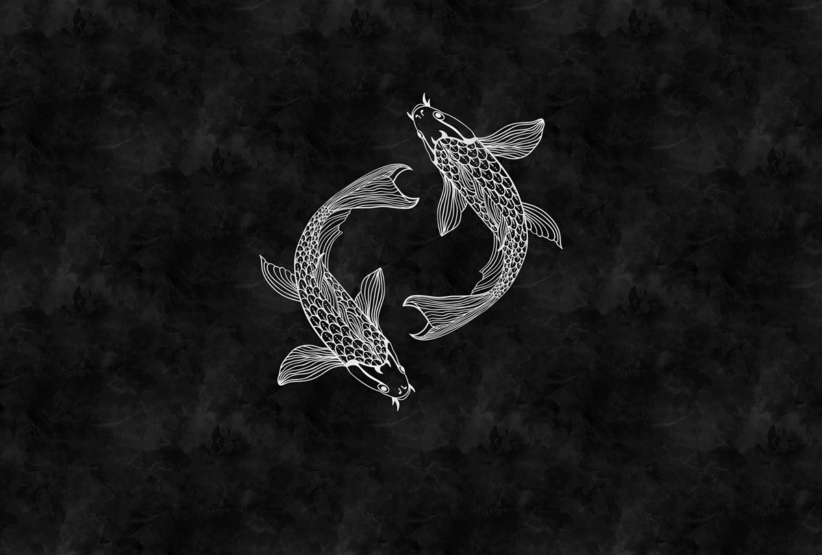 Papier peint panoramique Poisson Blackboard 5  - Référence DD110326 - Intissé 200g/m2 - Standard 400 x 270