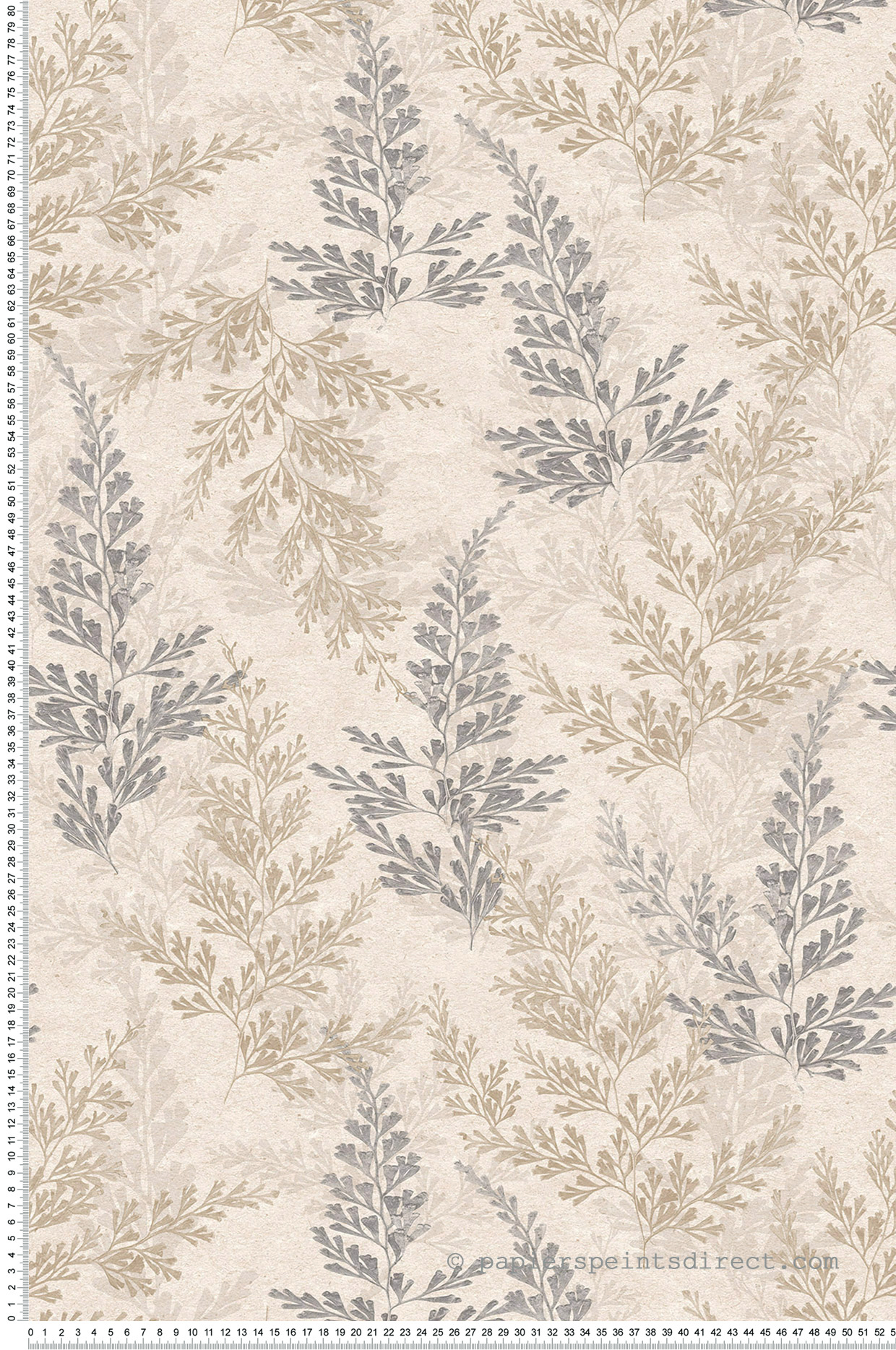 Papier peint Fougère Cyprès gris beige - Herbier de Montecolino | Réf. MC-HE27280