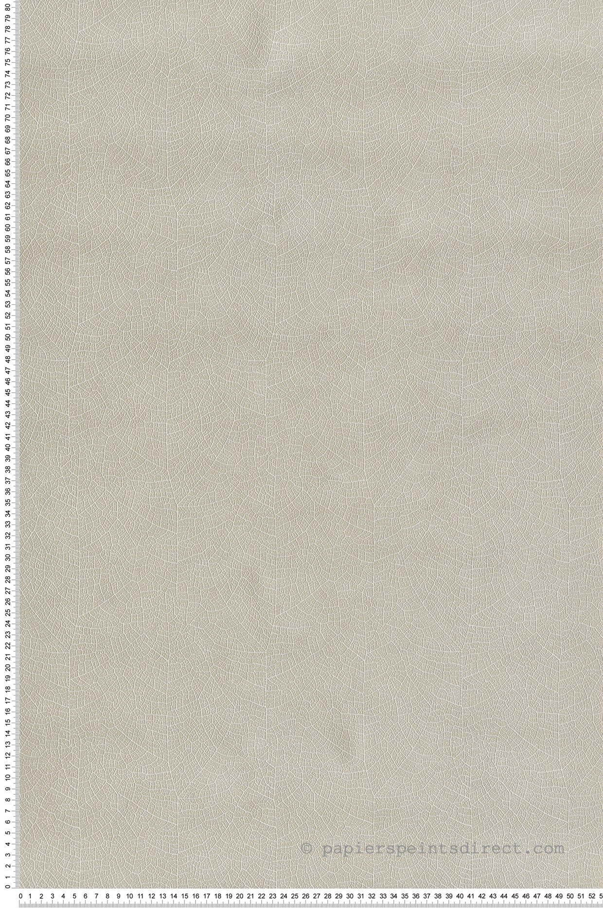 Papier peint Feuille Nervure Nola grège - Vegetals de Casadéco | Réf. VEGE201281303