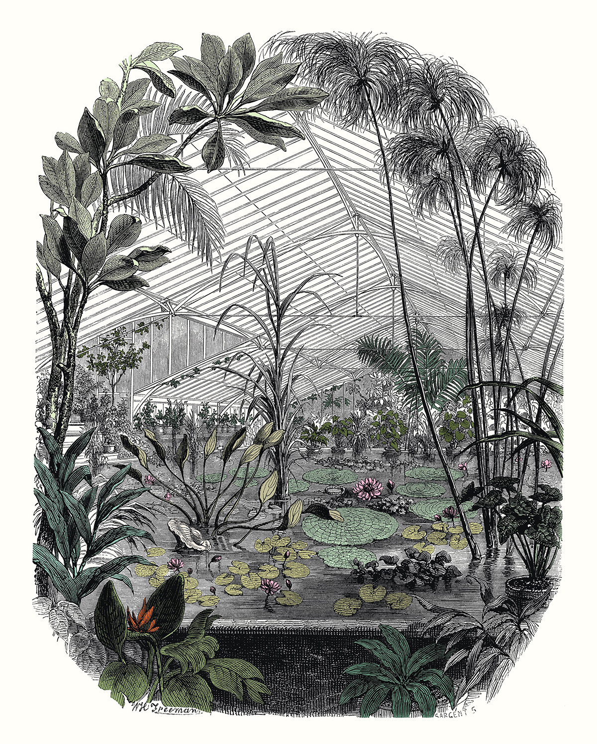 Papier peint panoramique Serre Jardin d'Hiver vert - Beauty Full Image 2 de Casadéco | Réf. BFM102397070