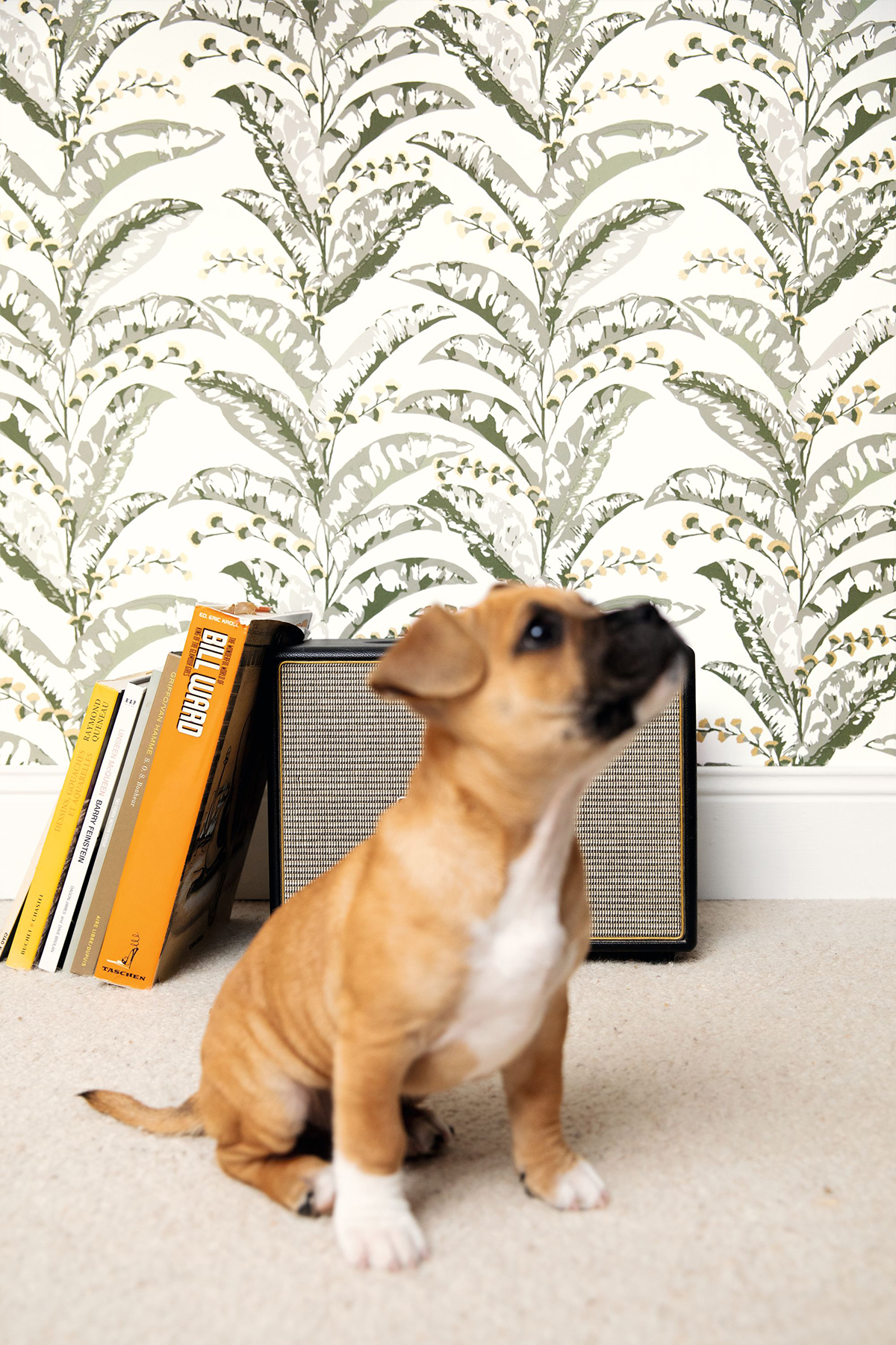 Papier peint Fleurs Epopée vert de gris - L'escapade de Casélio AMB | Réf. EPA102337735