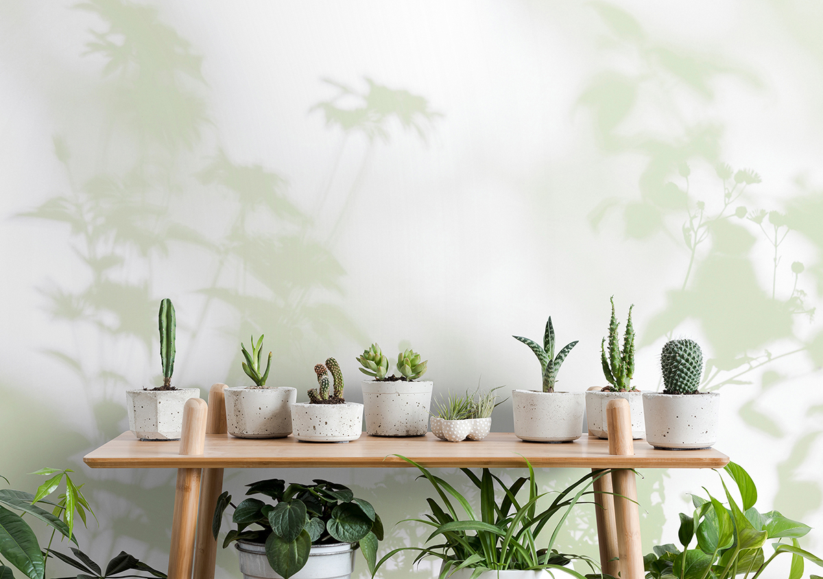 Papier peint panoramique Walls by Patel 3 - Référence DD122024 - Intissé 200g/m2 - 400 x 270 cm