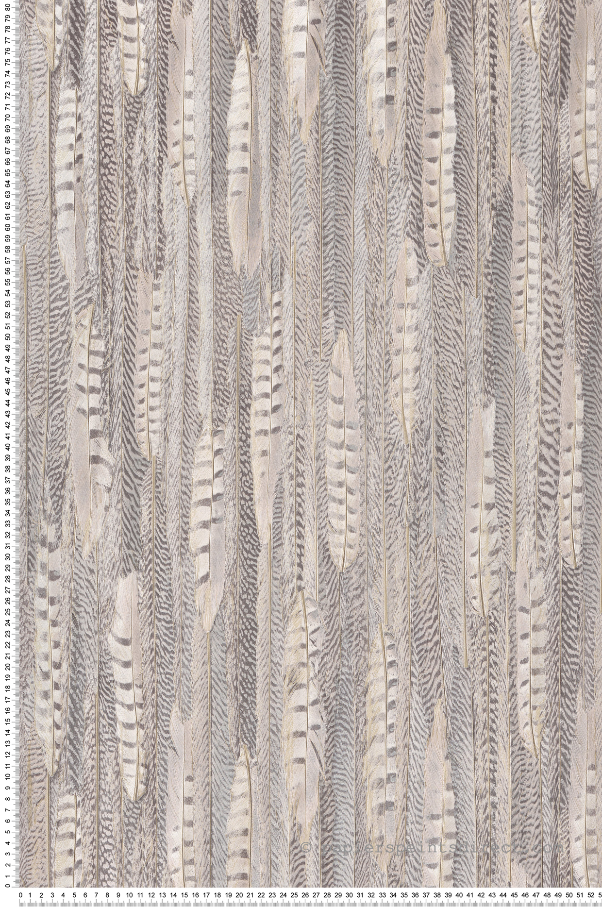 Papier peint Plume rose pâle gris beige - Renouveau de Lutèce | Réf. LTC-REN969