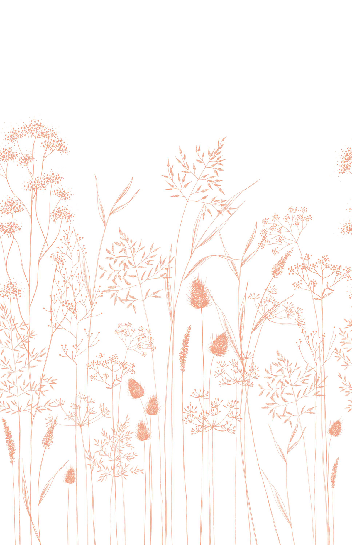 Papier peint panoramique Fleur Capillaris L corail 200x310 - Wonderwalls de Casadéco | Réf. WDWS89143604