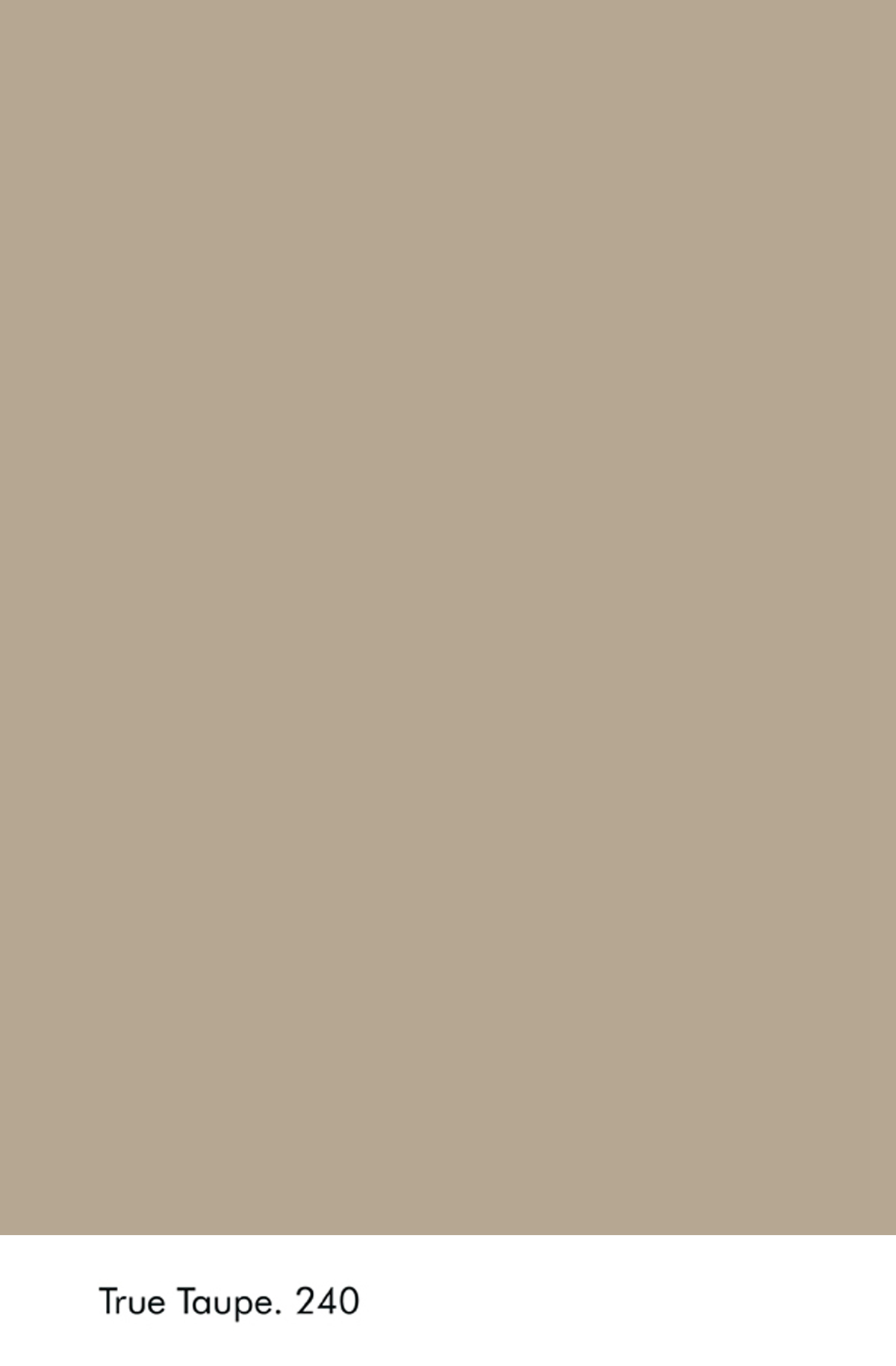 Peinture Little Greene True Taupe n°240 Absolute Matt Emulsion 250 ml