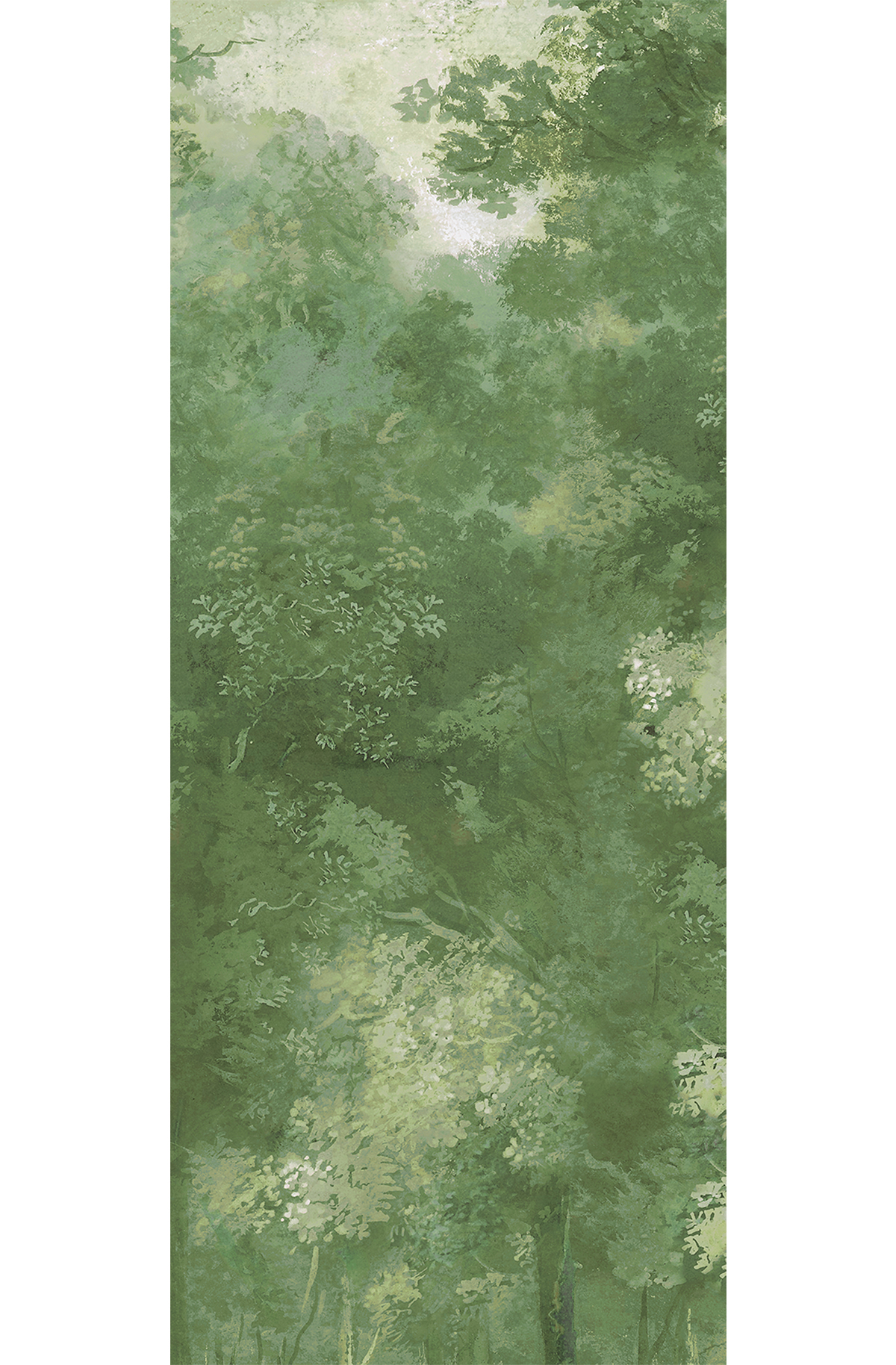 Papier peint panoramique Forêt vert - B H260 - Wall Designs IV de Masureel | Réf. MAS-DG4WOO1022-260