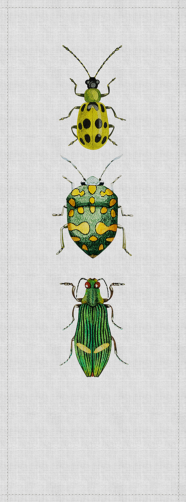 Papier peint panoramique Scarabée Insecte Buzz Panels 4 - Référence DD114052 - Intissé 200g/m2 - Standard 100 x 270