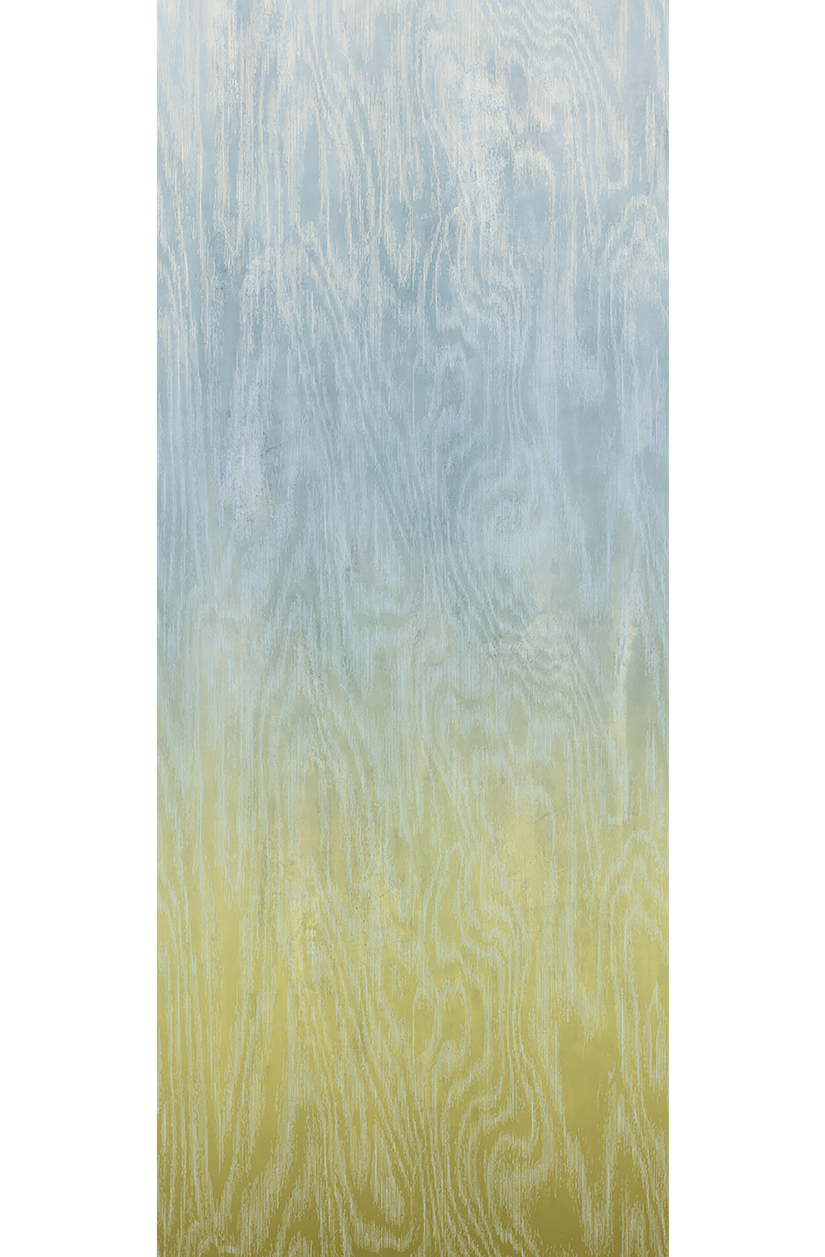 Papier peint panoramique Dégradé Moiré Bois bleu vert citron - A H260 - Wall Designs IV de Masureel | Réf. MAS-DG4MOI1071-260