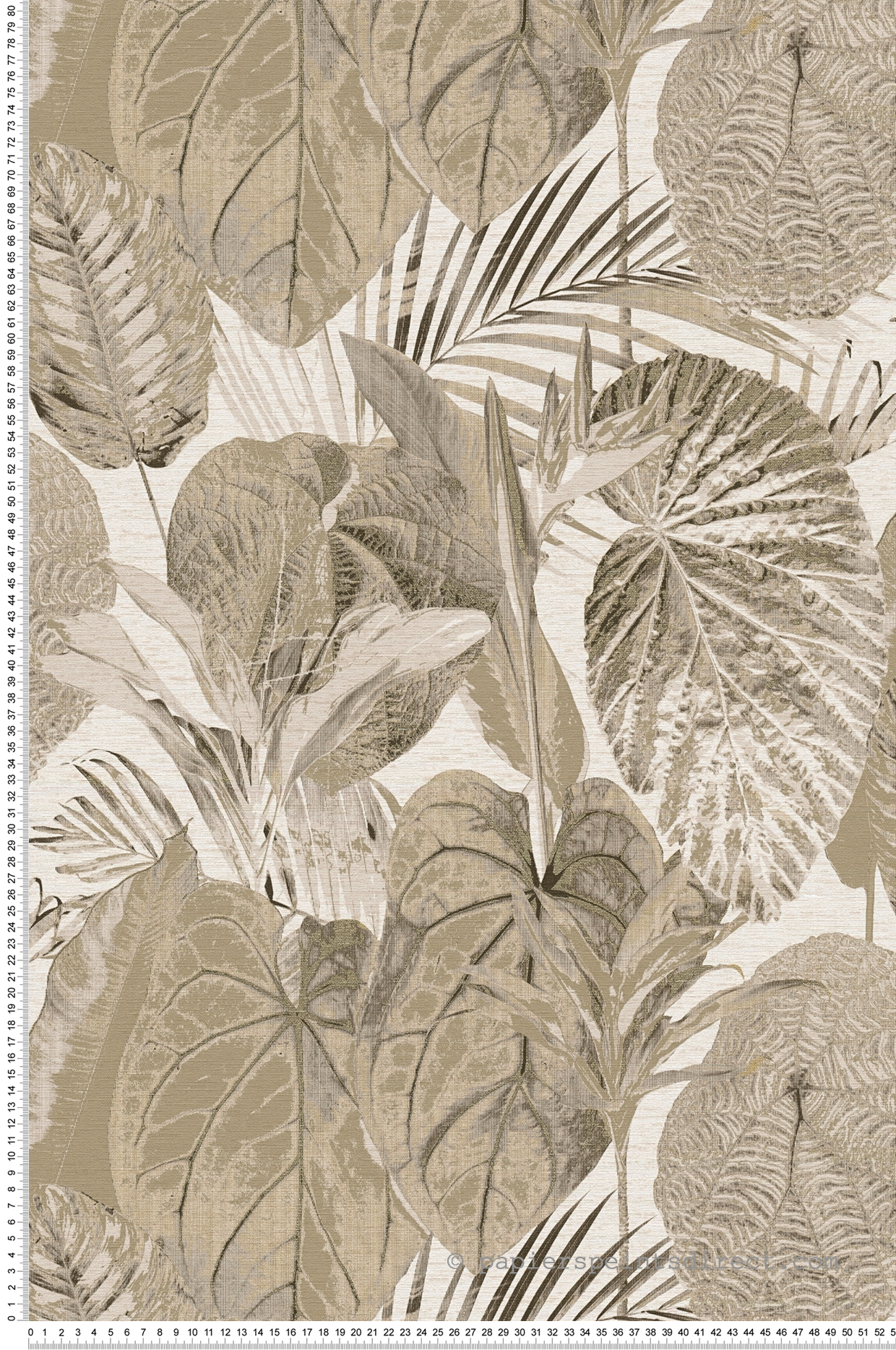 Papier peint Feuilles Palmes Colosia beige - Famous Garden d'A.S. Création | Réf. AS-393551