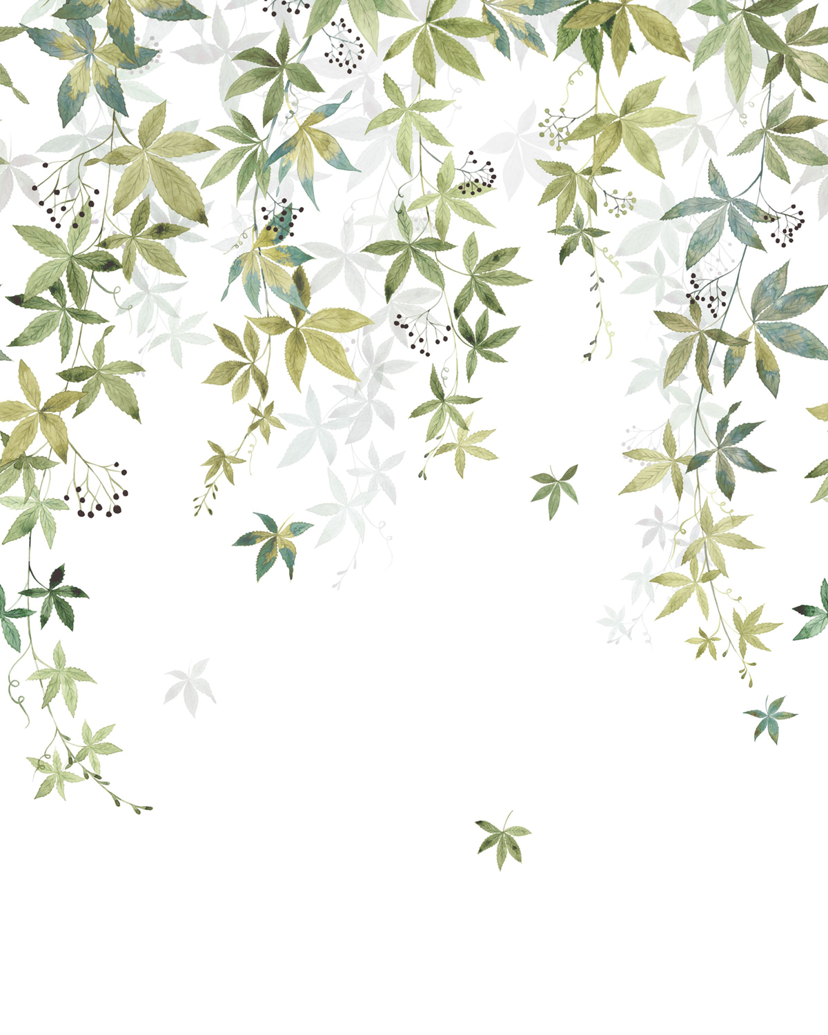 Papier peint panoramique Feuille Vigne en Fleur S vert 200X250 - Wonderwalls 2 de Casadéco | Réf. WDWD200067205