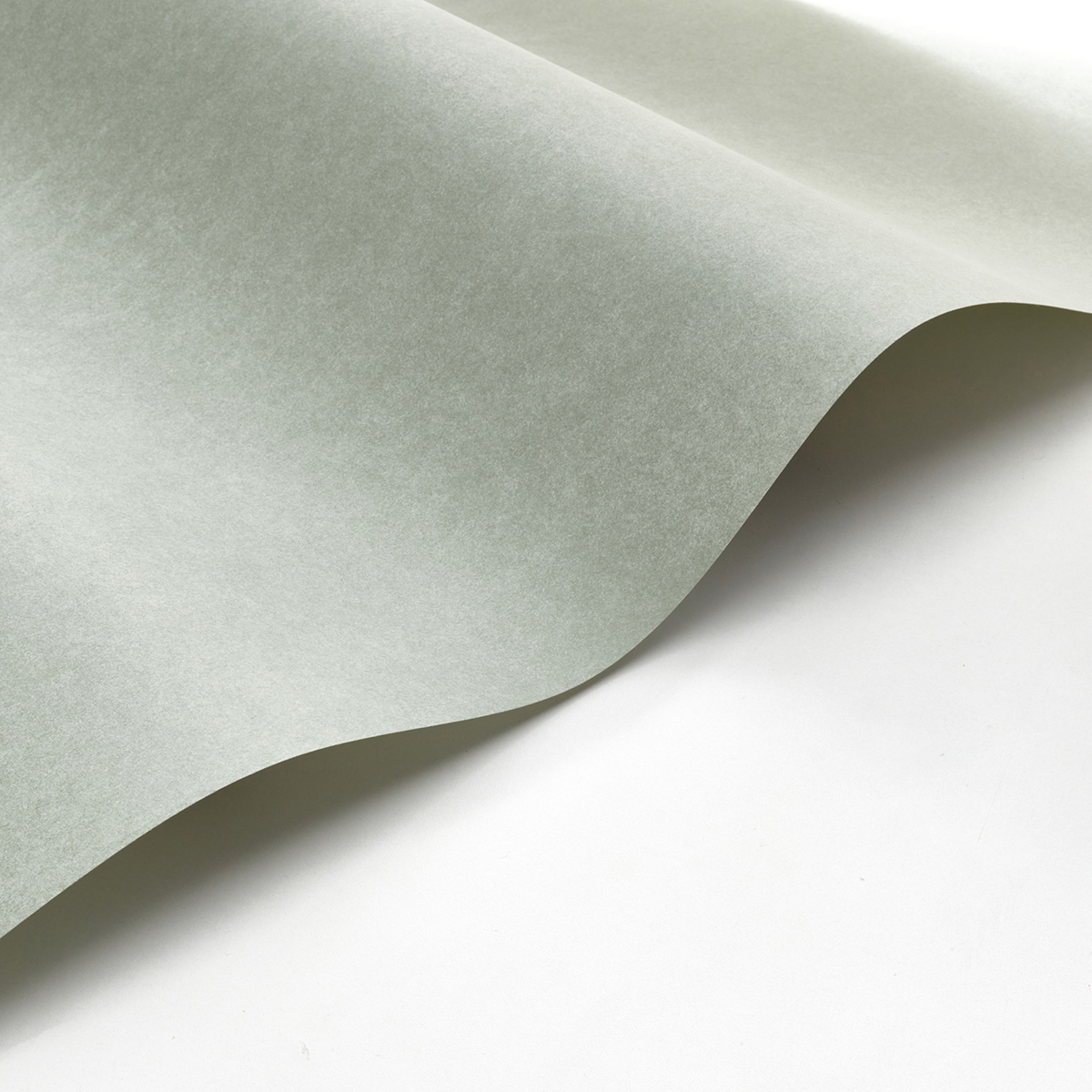 Papier peint Cotton Touch vert sauge - Flower Market de Casadéco | Réf. FLOM82387117