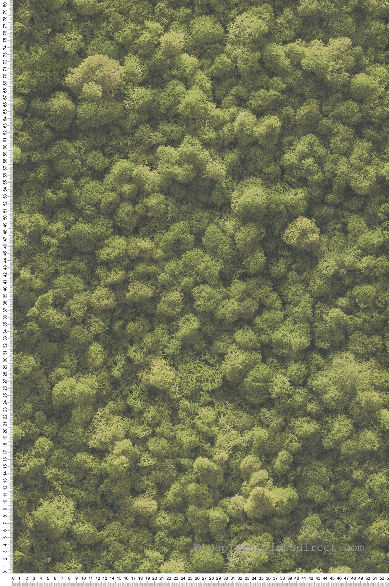 Papier peint Mousse Forêt vert - Pintwalls 2 d'A.S. Création | Réf. AS-394051