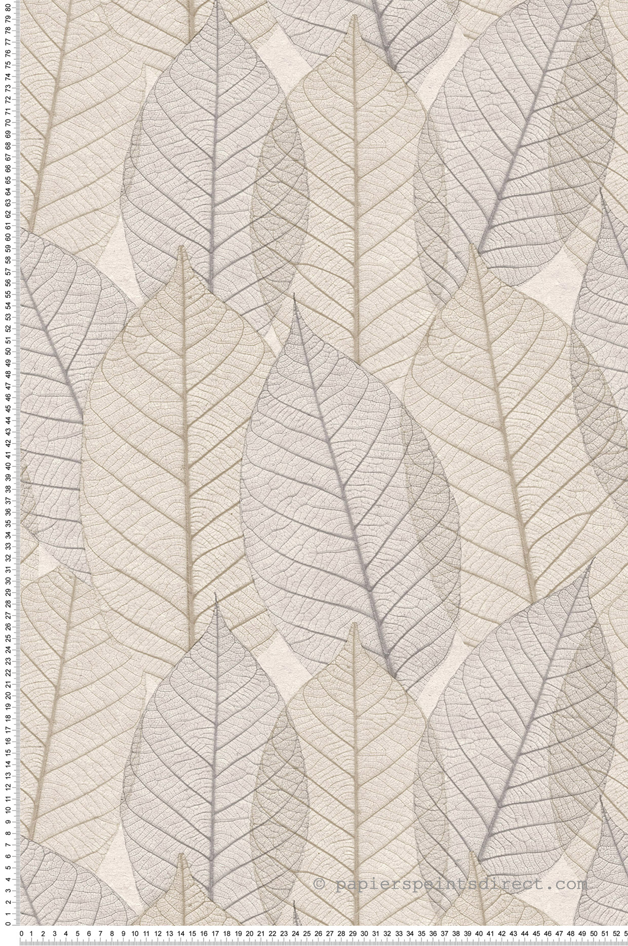 Papier peint Feuille Nervure beige gris - Herbier de Montecolino | Réf. MC-HE27250