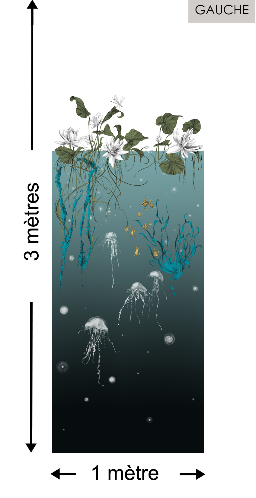 Méduses DROIT Noir - Collection Catherine Gran de Edmond Petit