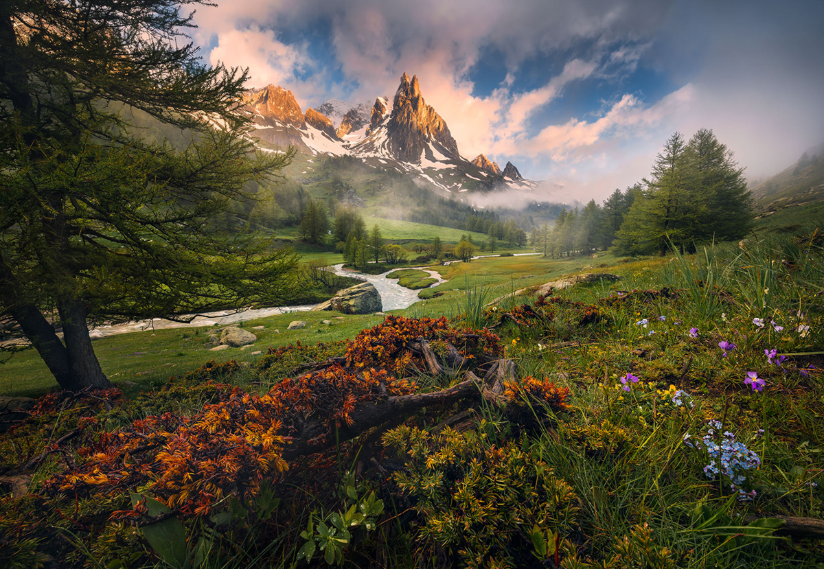 Papier peint panoramique Paysage Morning Walk - Papier peint Komar Colors