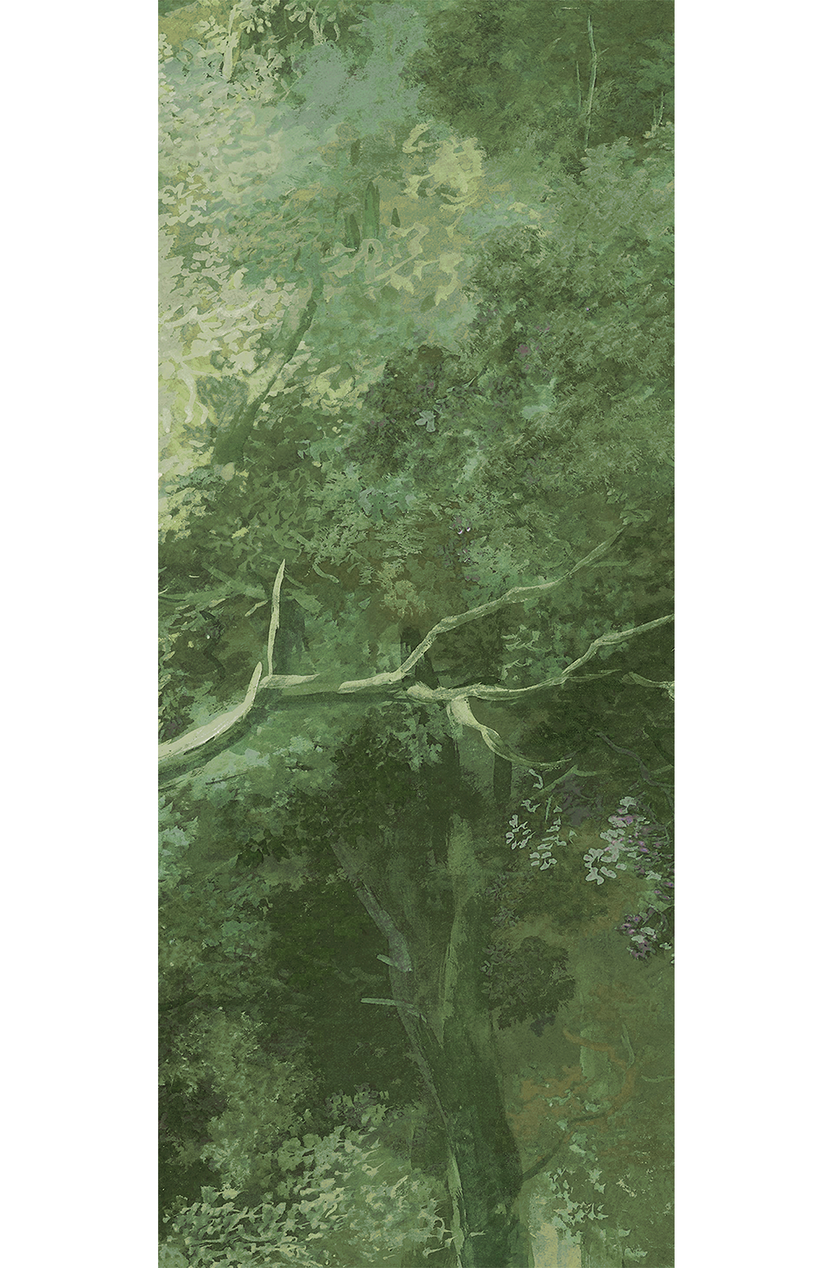 Papier peint panoramique Forêt vert - D H260 - Wall Designs IV de Masureel | Réf. MAS-DG4WOO1024-260