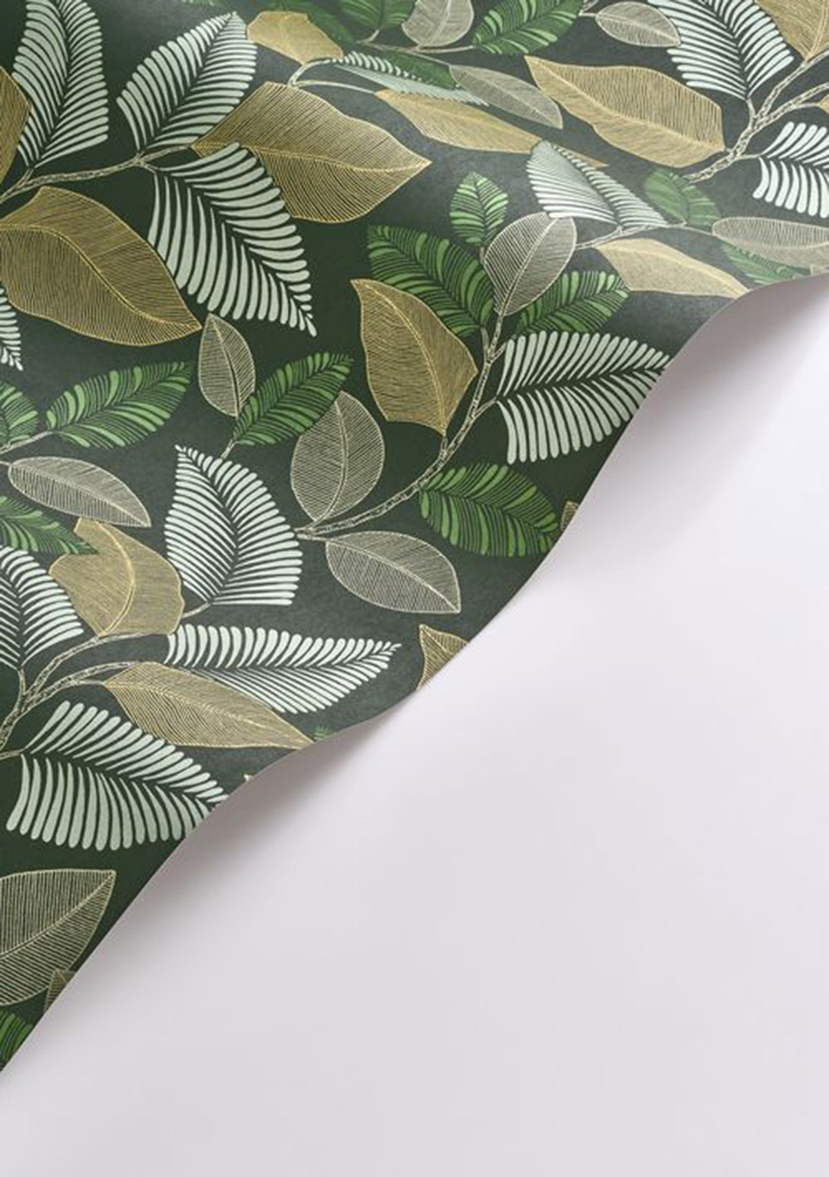 Papier peint Feuillage Paraty vert canopée - Rio de Casadéco AMB4| Réf. RIOC201807850