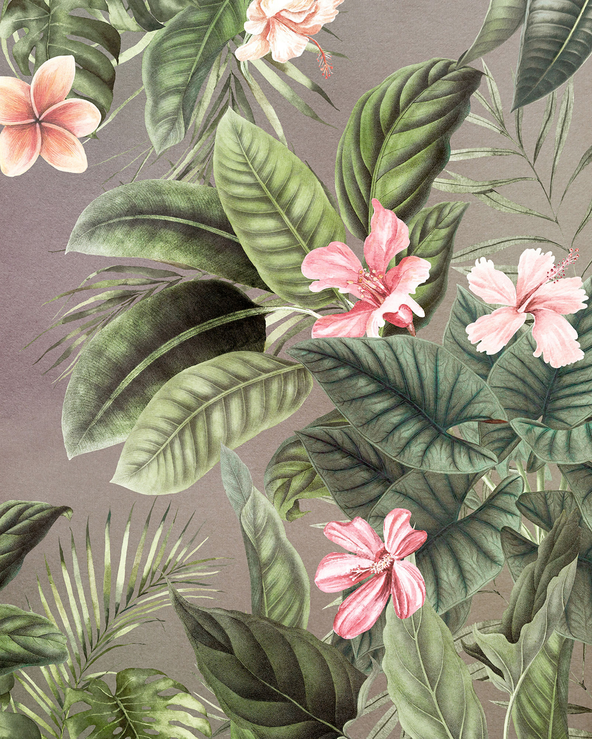 Papier peint panoramique Fleur Large Bloomed - Papier peint Komar Pure 2