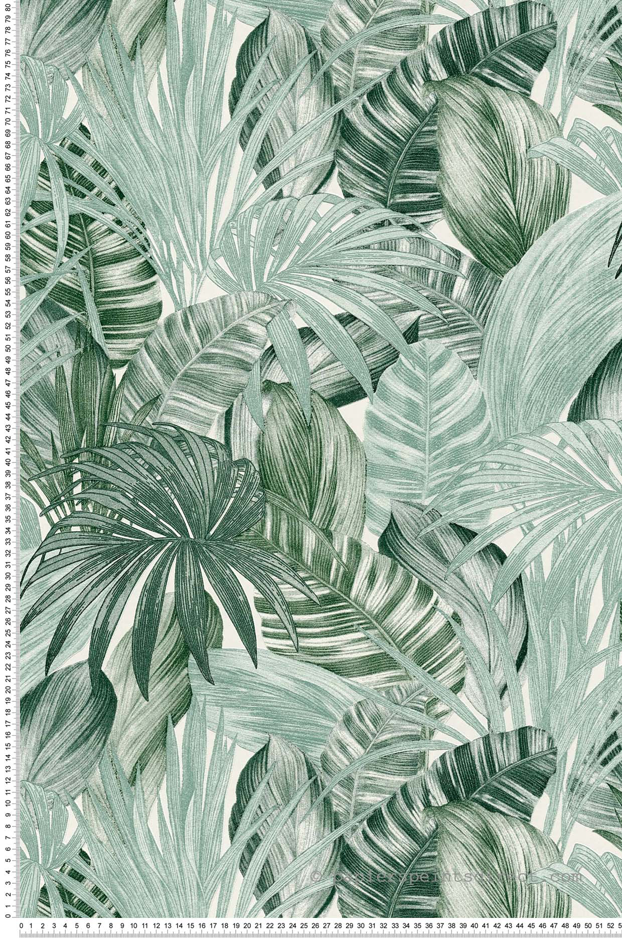 Papier peint tropical Feuilles vert jungle - Greenery d'AS Création | Réf. SP15010