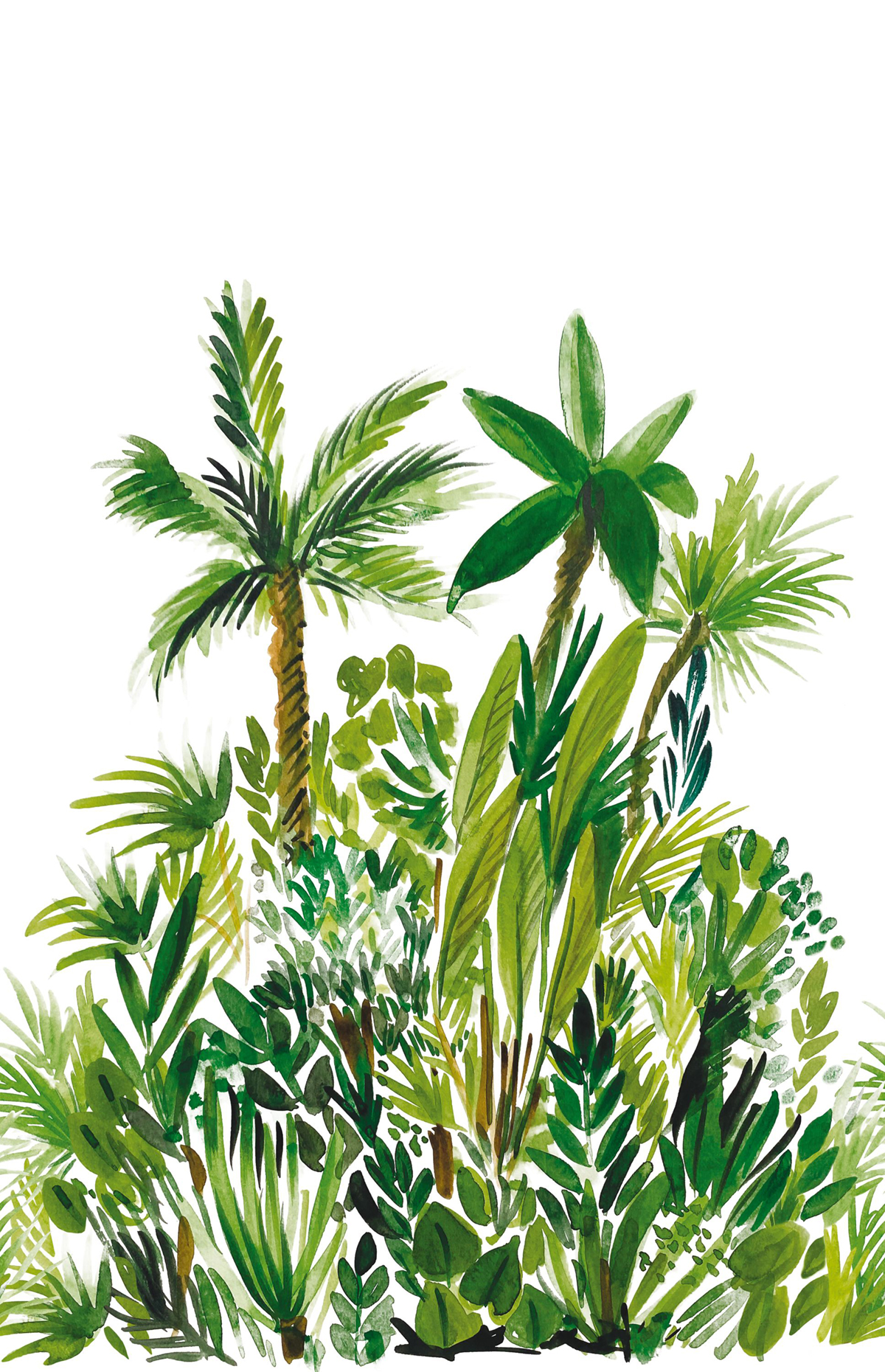 Papier peint panoramique Jungle Fidji vert L 200x310 - Green & Co de Casélio | Réf. GCO104007004