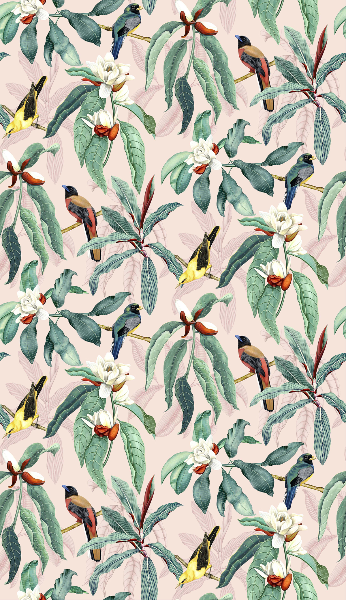 Papier peint exotique Oiseaux Michelia Blush - Empyrea d'Osborne & Little | Réf. OSB-W7612-02