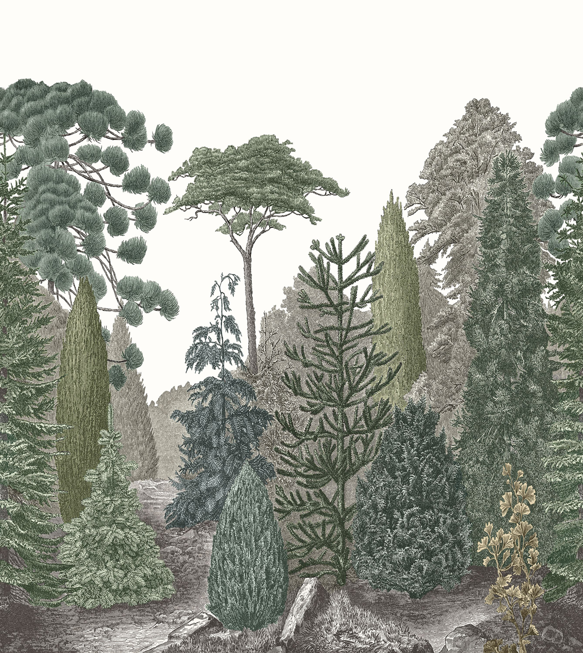 Papier peint panoramique Forêt Pinede M vert pin 250x280 - Méditerranée de Casadéco | Réf. MEDI87457201