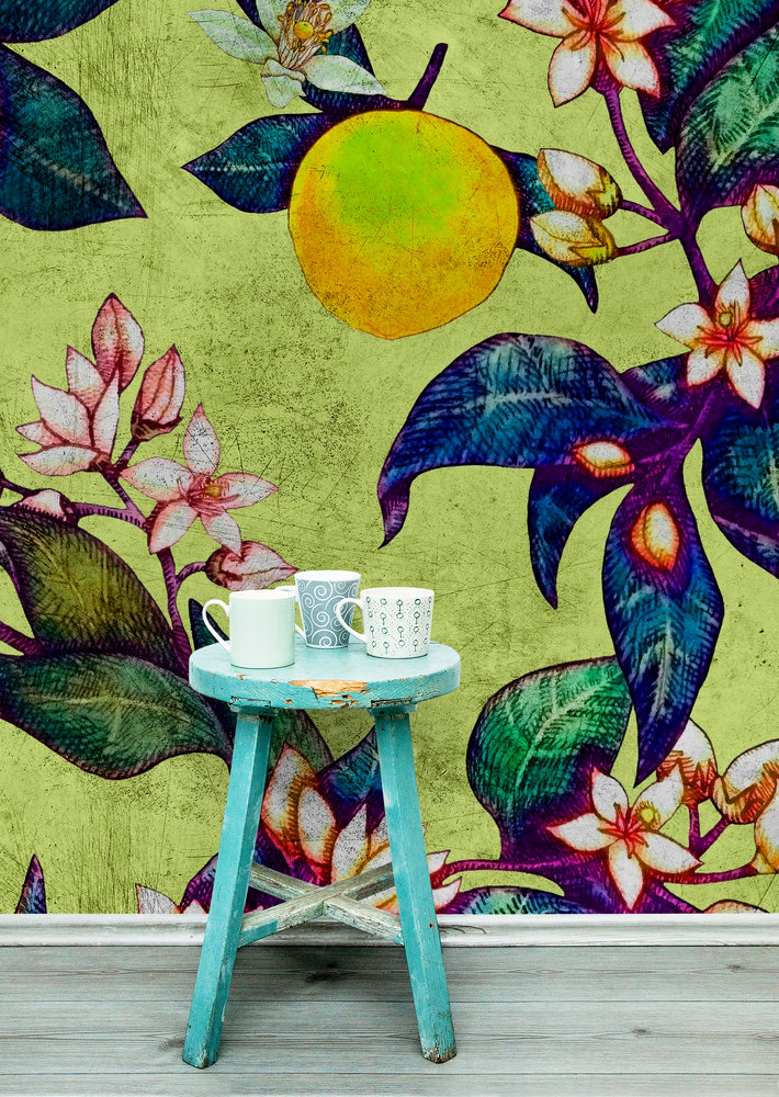 Papier peint panoramique Fruit tropical Grapefruit tree 1 AMB - Référence DD114257 - Intissé 200g/m2 - Standard 400 x 270