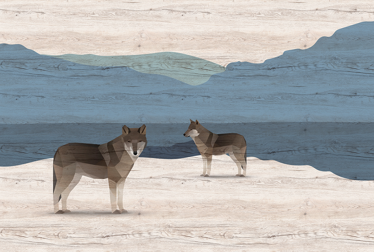 Papier peint panoramique Walls by Patel 3 - Référence DD122892 - Intissé 200g/m2 - 400 x 270 cm