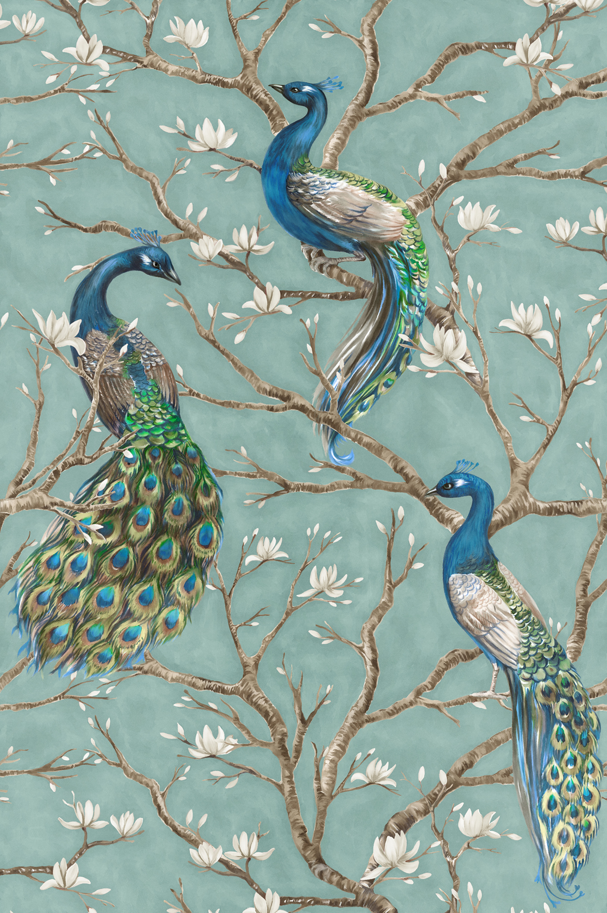 Papier peint panoramique Oiseaux Paon cerisier turquoise - Tribeca de Montecolino | Réf. MC-DD114648