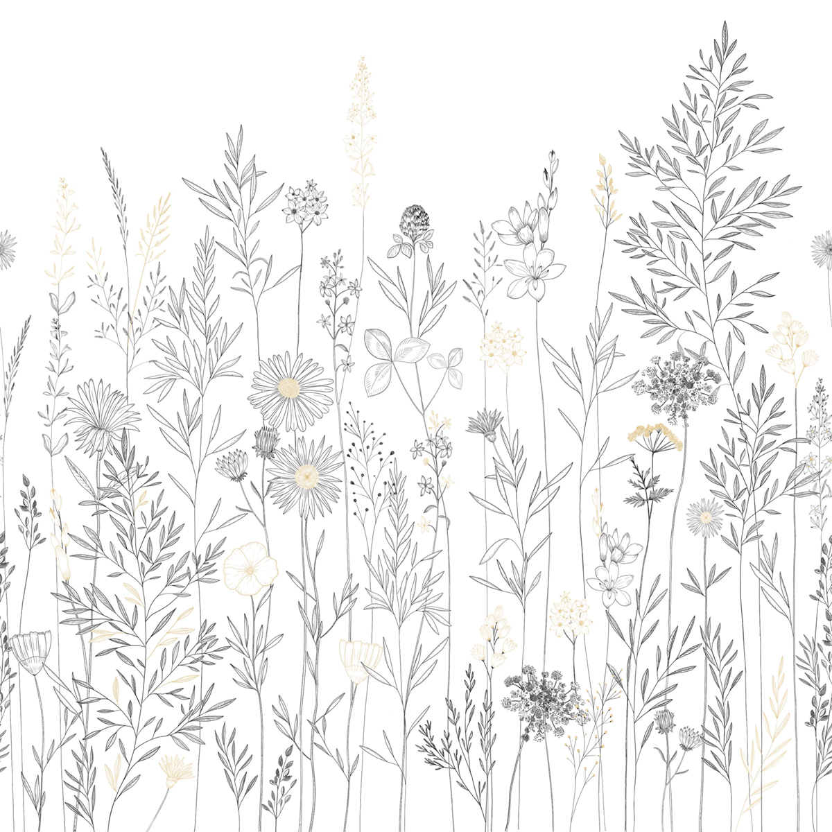 Papier peint panoramique Fleur Montmartre noir beige 250X250 - Color Box 3 de Casélio | Réf. CB3105920906