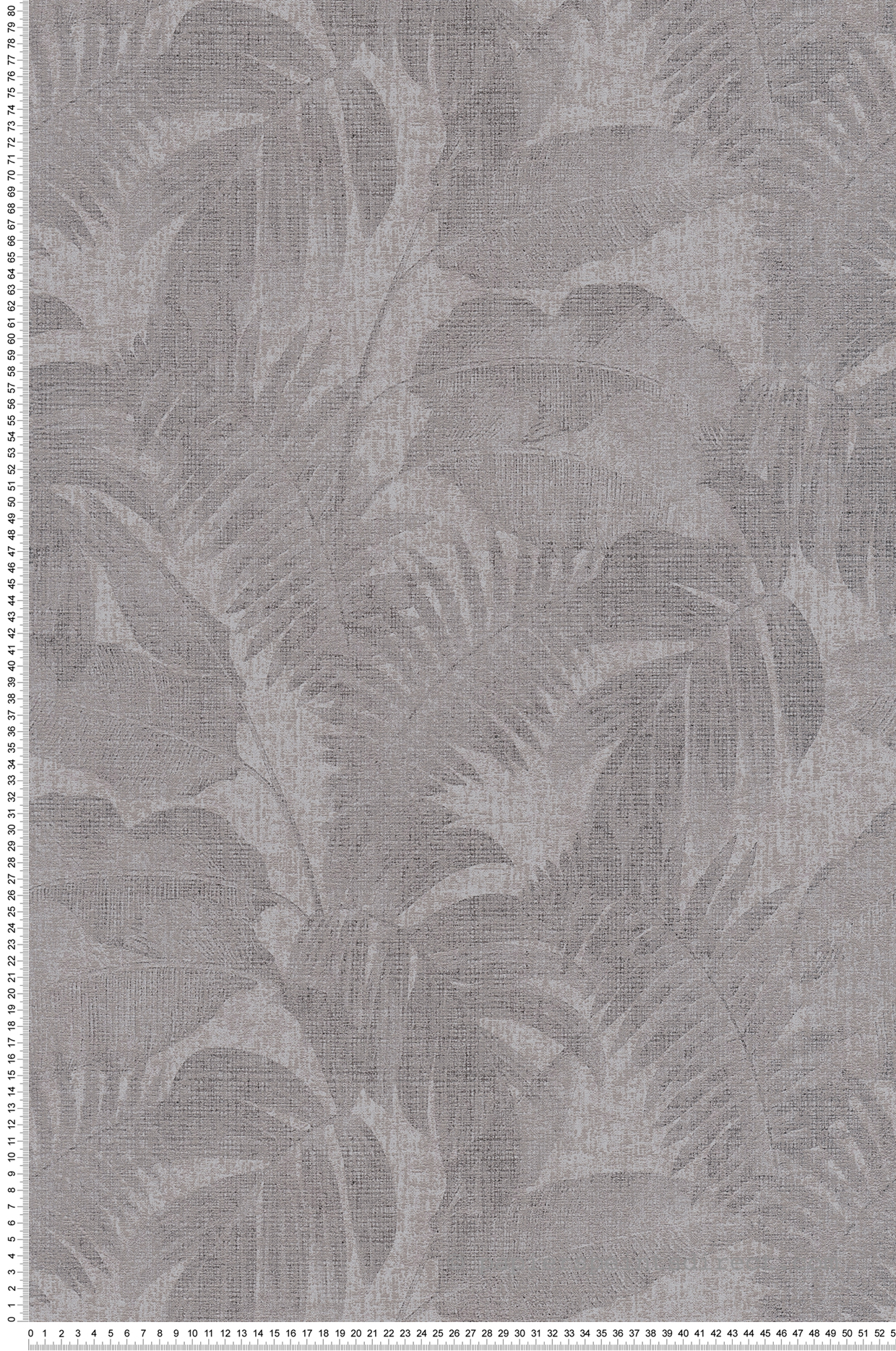 Papier peint Jungle Tropicale gris - New Walls d'AS Création | Réf. SP15250