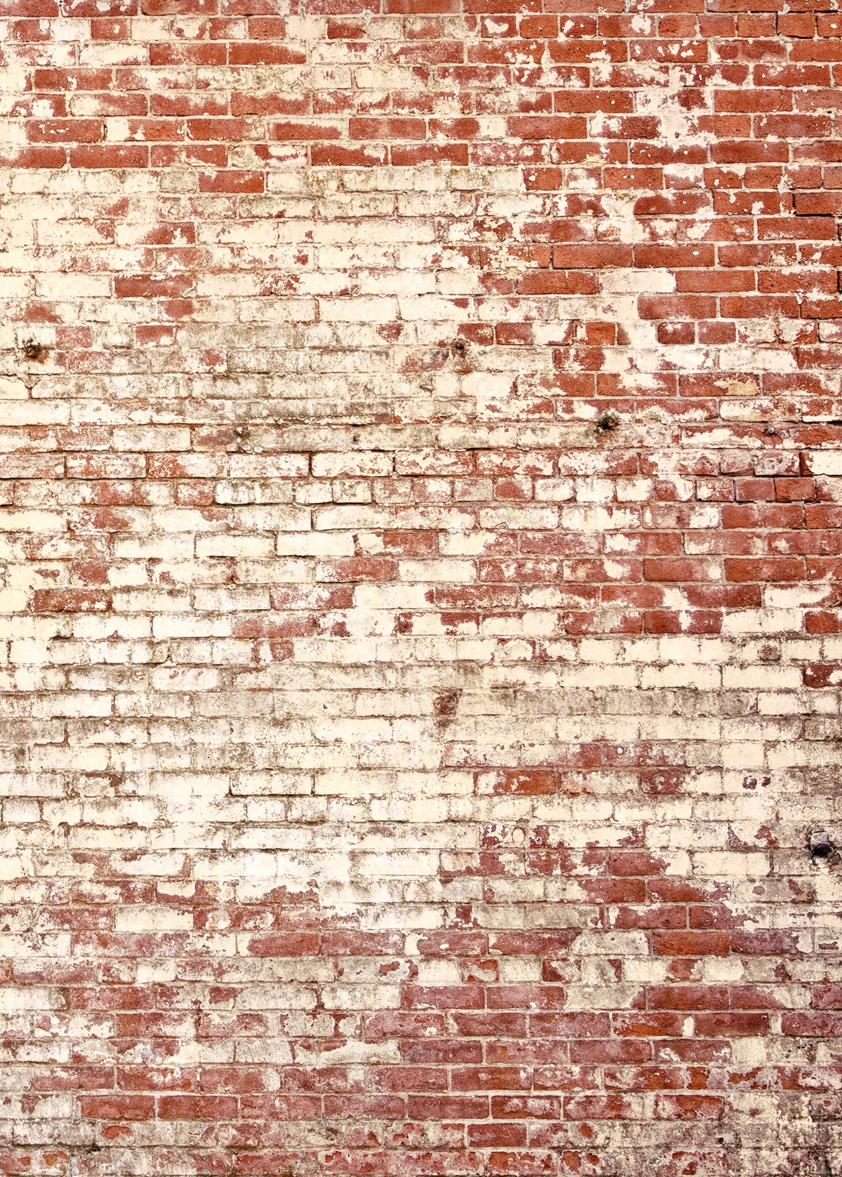 Papier peint Panoramique Brique Poetic Wall rouge 200x280 - Young And Free de Casélio | Réf. YNF103438203