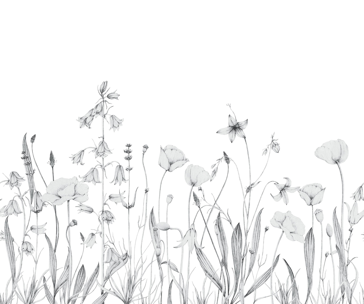 Papier peint panoramique Floral Promenade Bucolique S gris brume 300X250 - Wonderwalls 2 de Casadéco | Réf. WDWD200169107