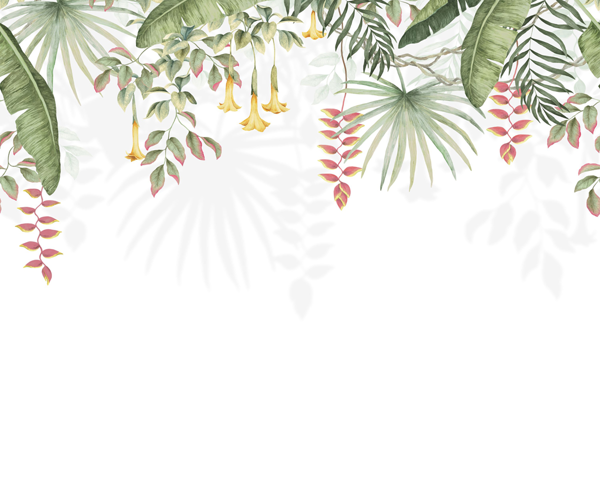 Papier peint panoramique Bird Of Paradise S fushia 300x250 - Wonderwalls de Casadéco | Réf. WDWS89197007