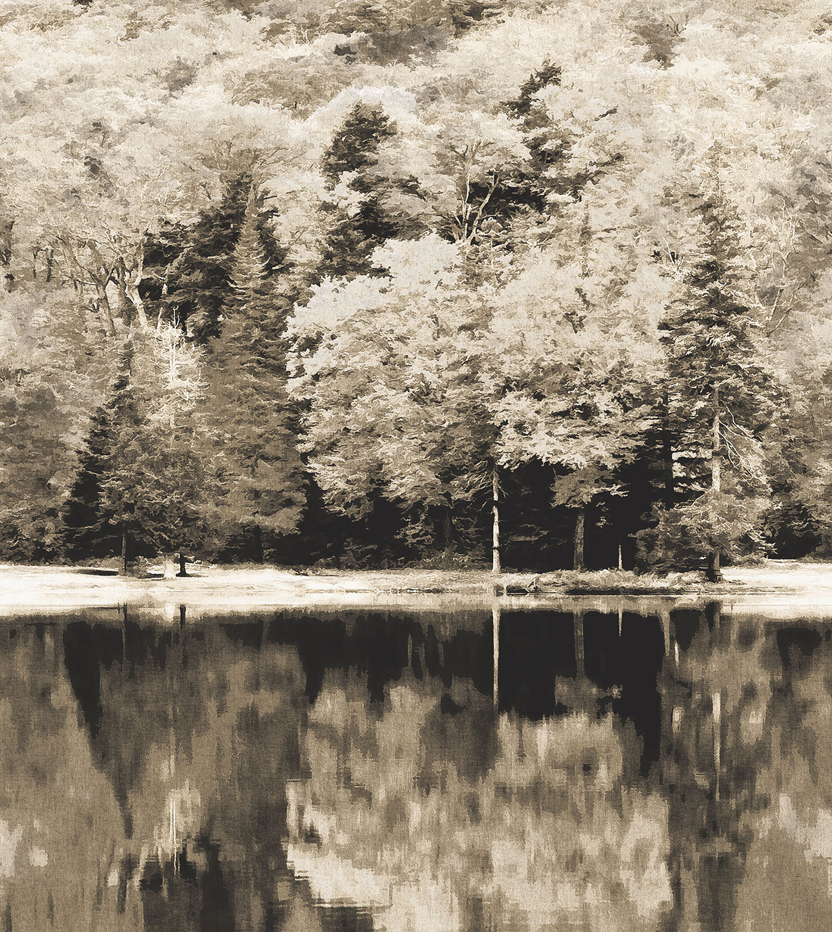 Papier peint panoramique Peinture Forêt Autumn noir - Beauty Full Image 2 de Casadéco | Réf. BFMA87109514