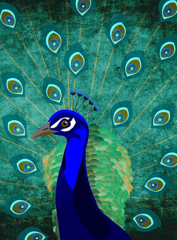 Papier peint panoramique Paon Peacock - Référence DD120045 - Intissé 200g/m2 - Standard 200 x 270