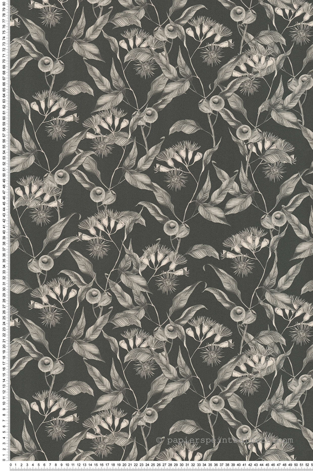 Papier peint Fleur Eucalyptus noir gris - Drawn Into Nature d'A.S. Création | Réf. AS-394302