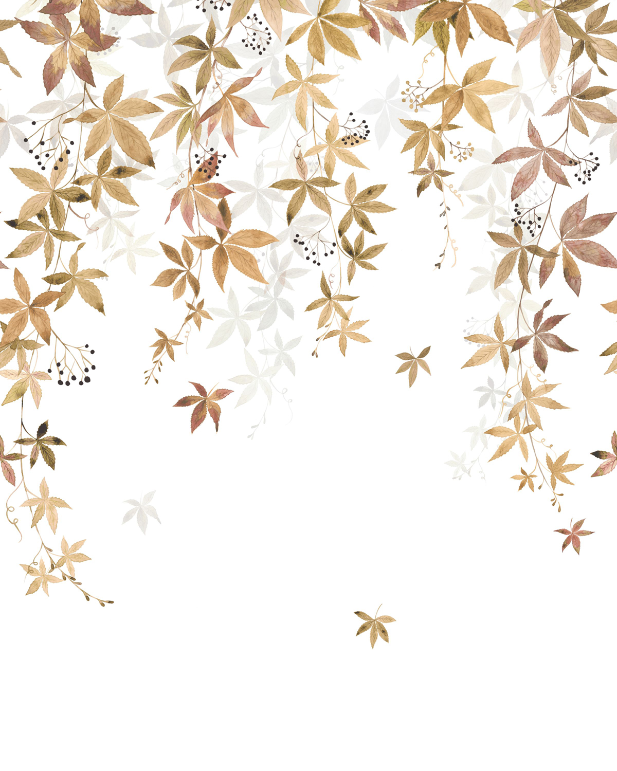 Papier peint panoramique Feuille Vigne en Fleur S brun 200X250 - Wonderwalls 2 de Casadéco | Réf. WDWD200062305