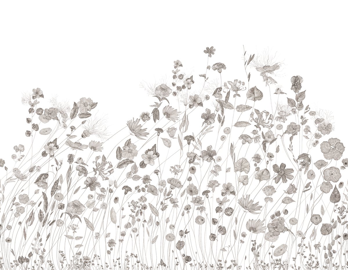 Papier peint panoramique Fleurs Prairie A+B+C - 1/2/3/4/5/6/7/8/9 - Isidore Leroy
